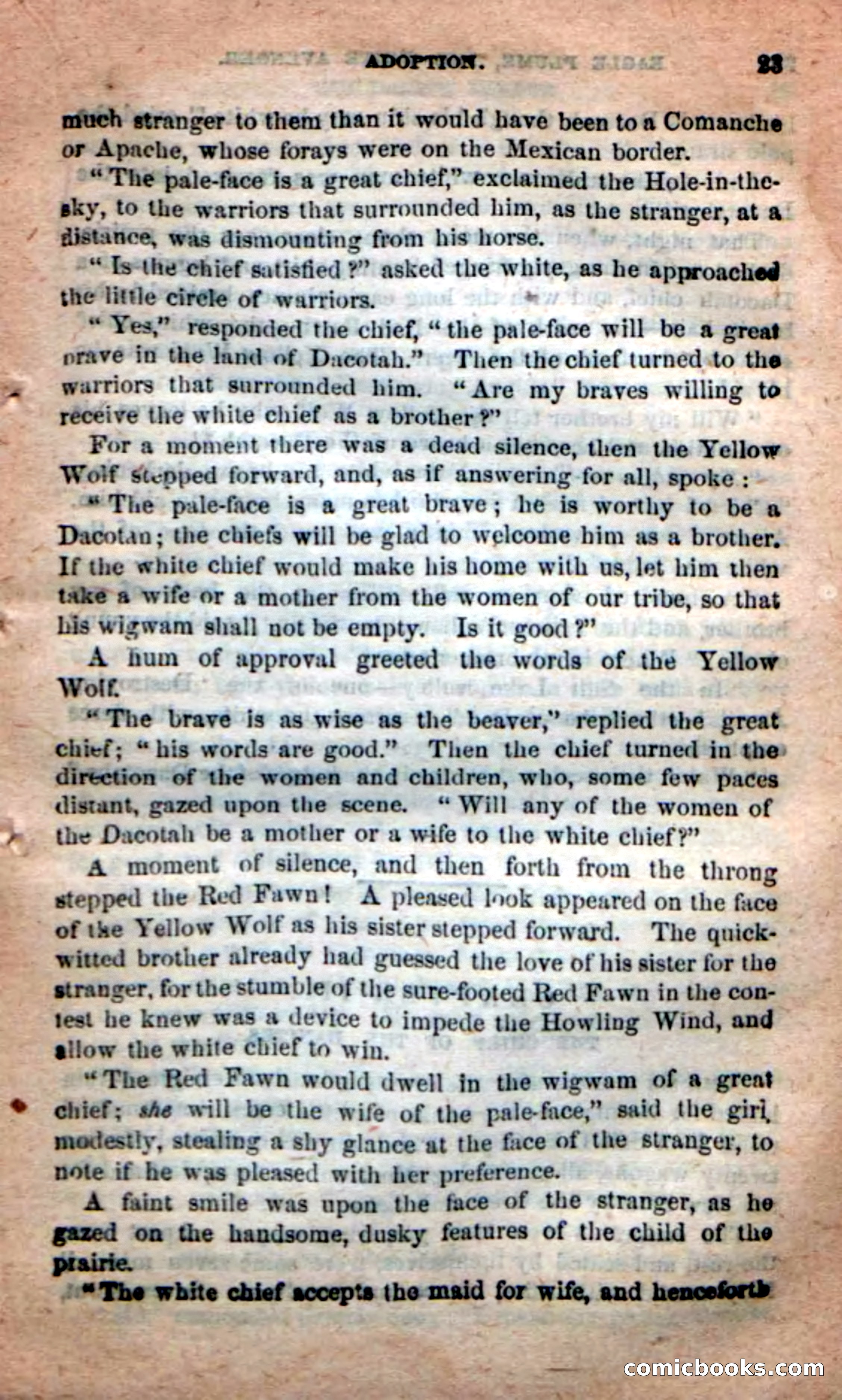 Beadle's New Dime Novels: Eagle Plume — page 19 of 98