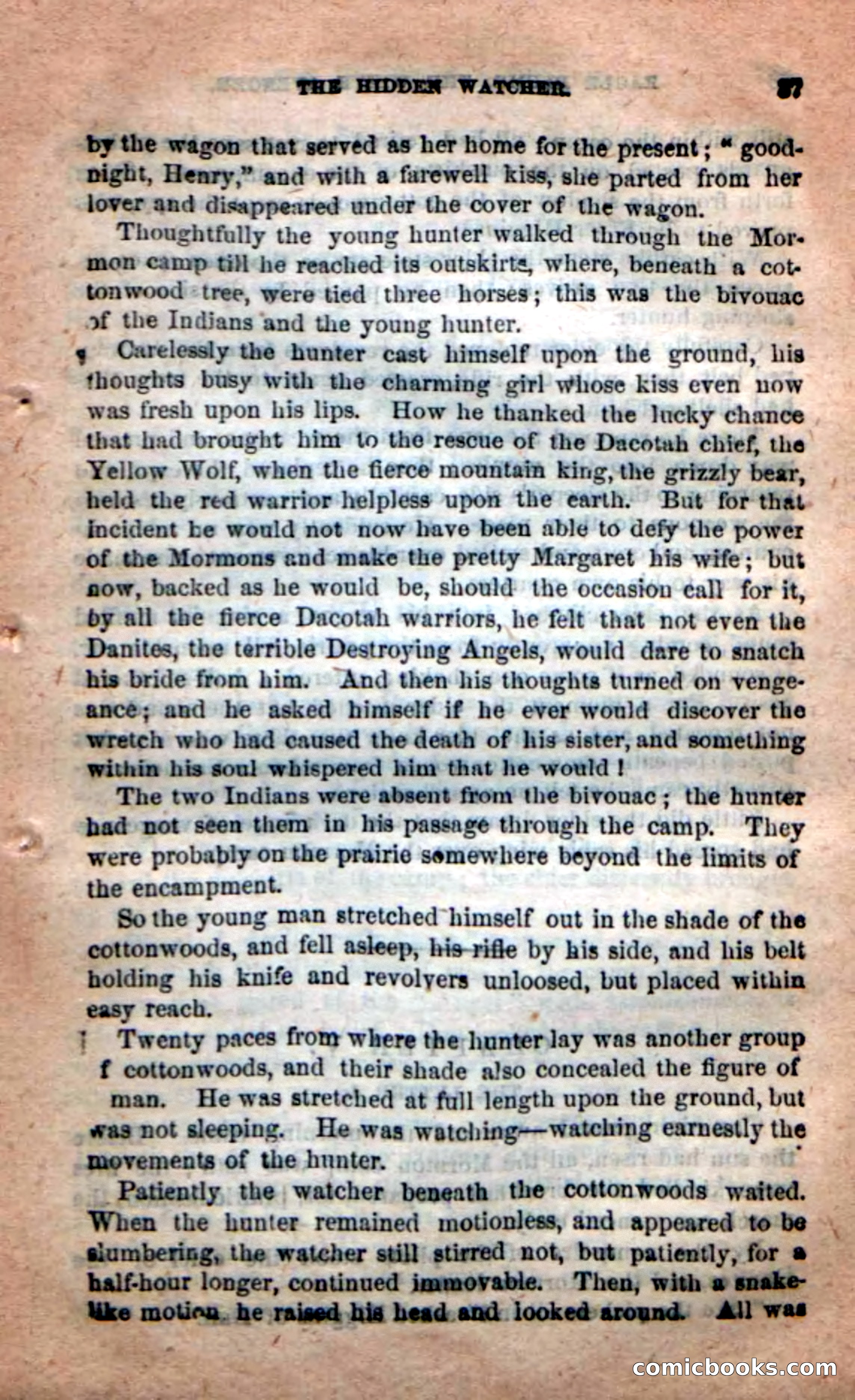 Beadle's New Dime Novels: Eagle Plume — page 33 of 98