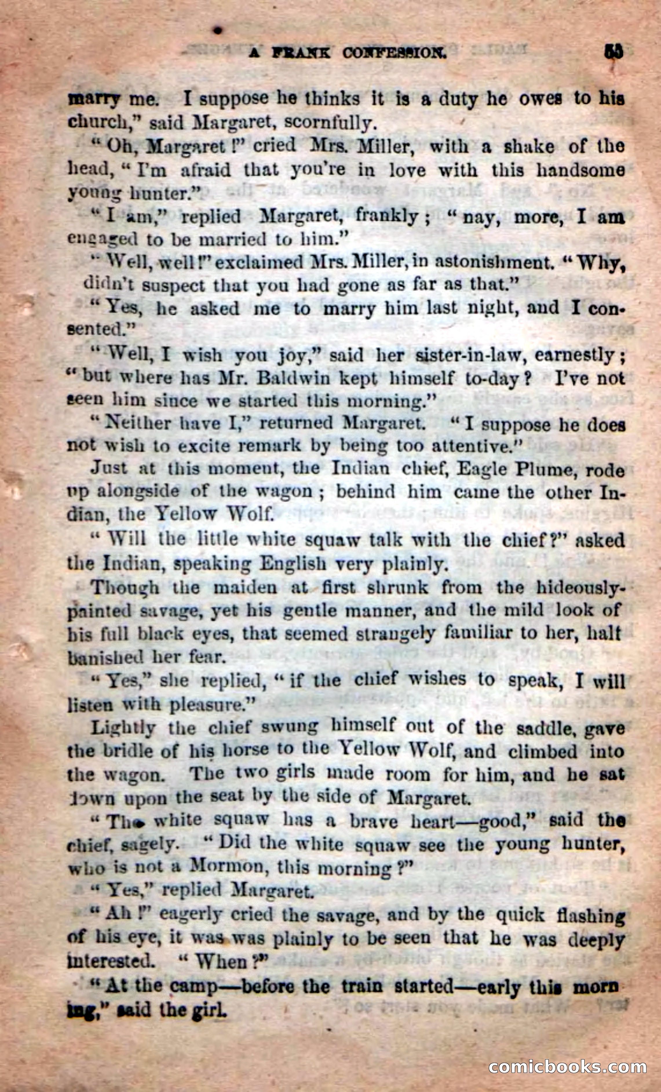 Beadle's New Dime Novels: Eagle Plume — page 51 of 98