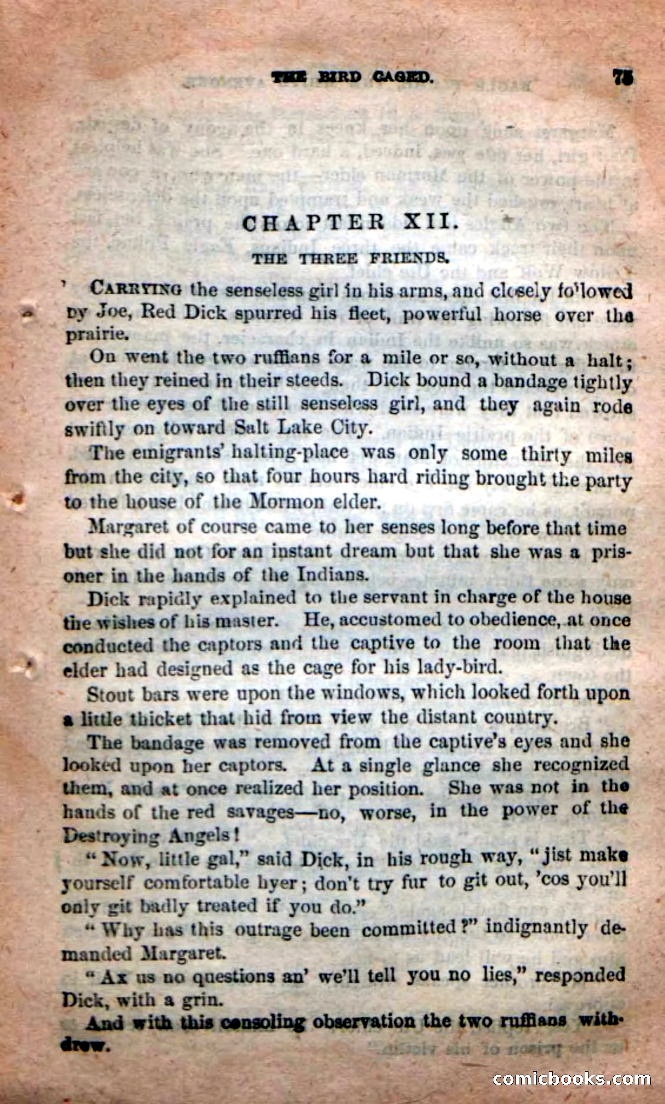 Beadle's New Dime Novels: Eagle Plume — page 71 of 98