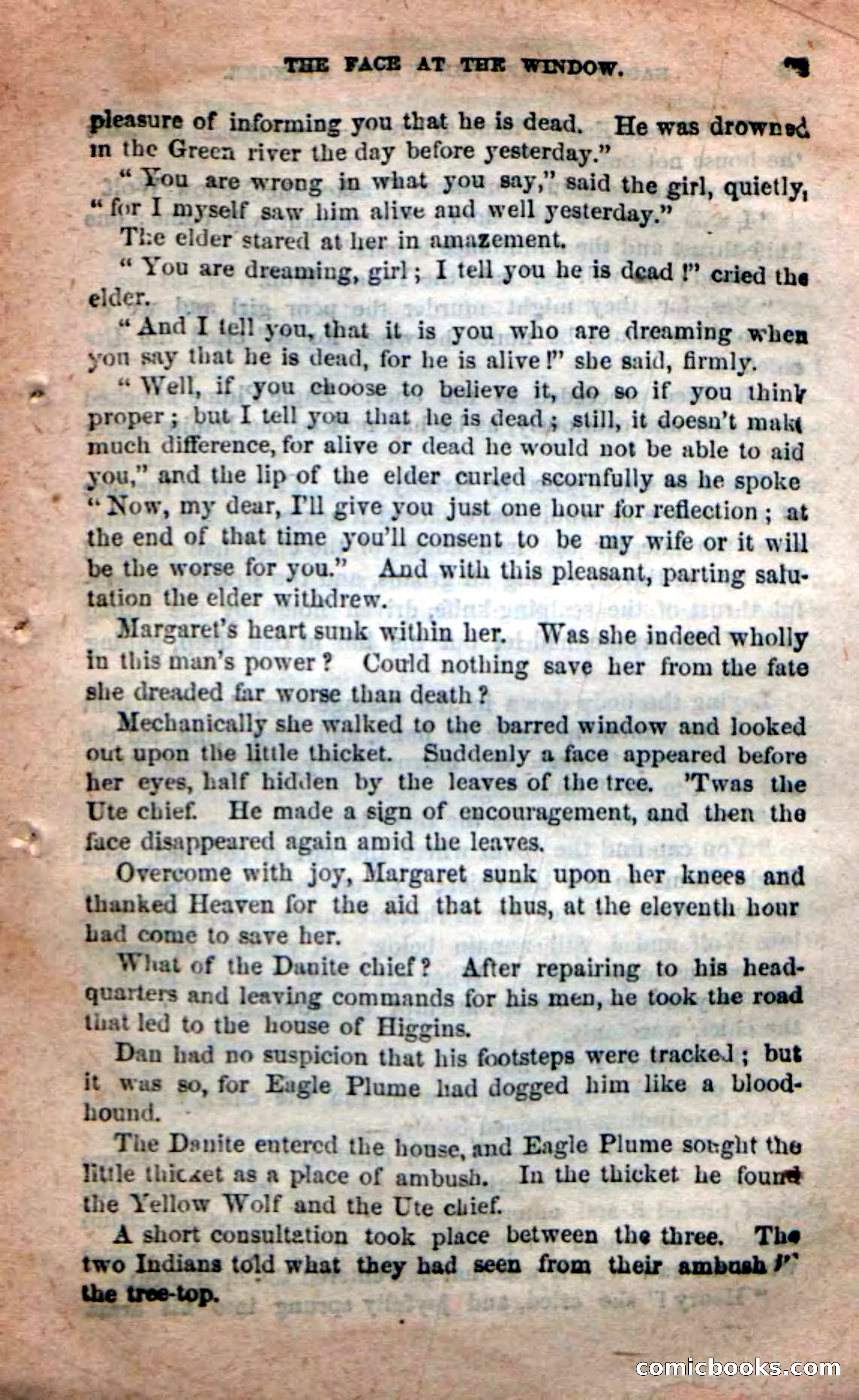Beadle's New Dime Novels: Eagle Plume — page 75 of 98