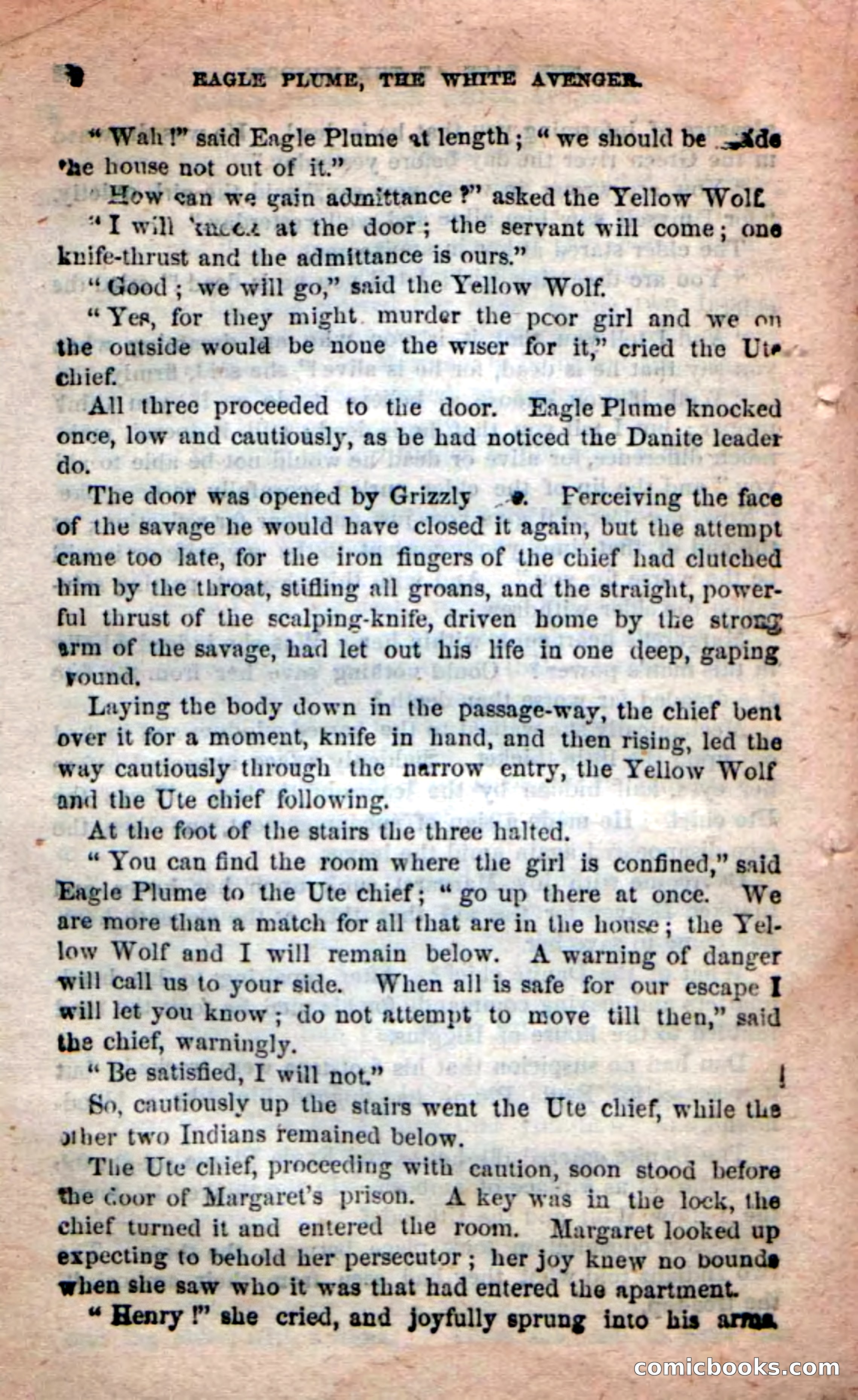 Beadle's New Dime Novels: Eagle Plume — page 76 of 98