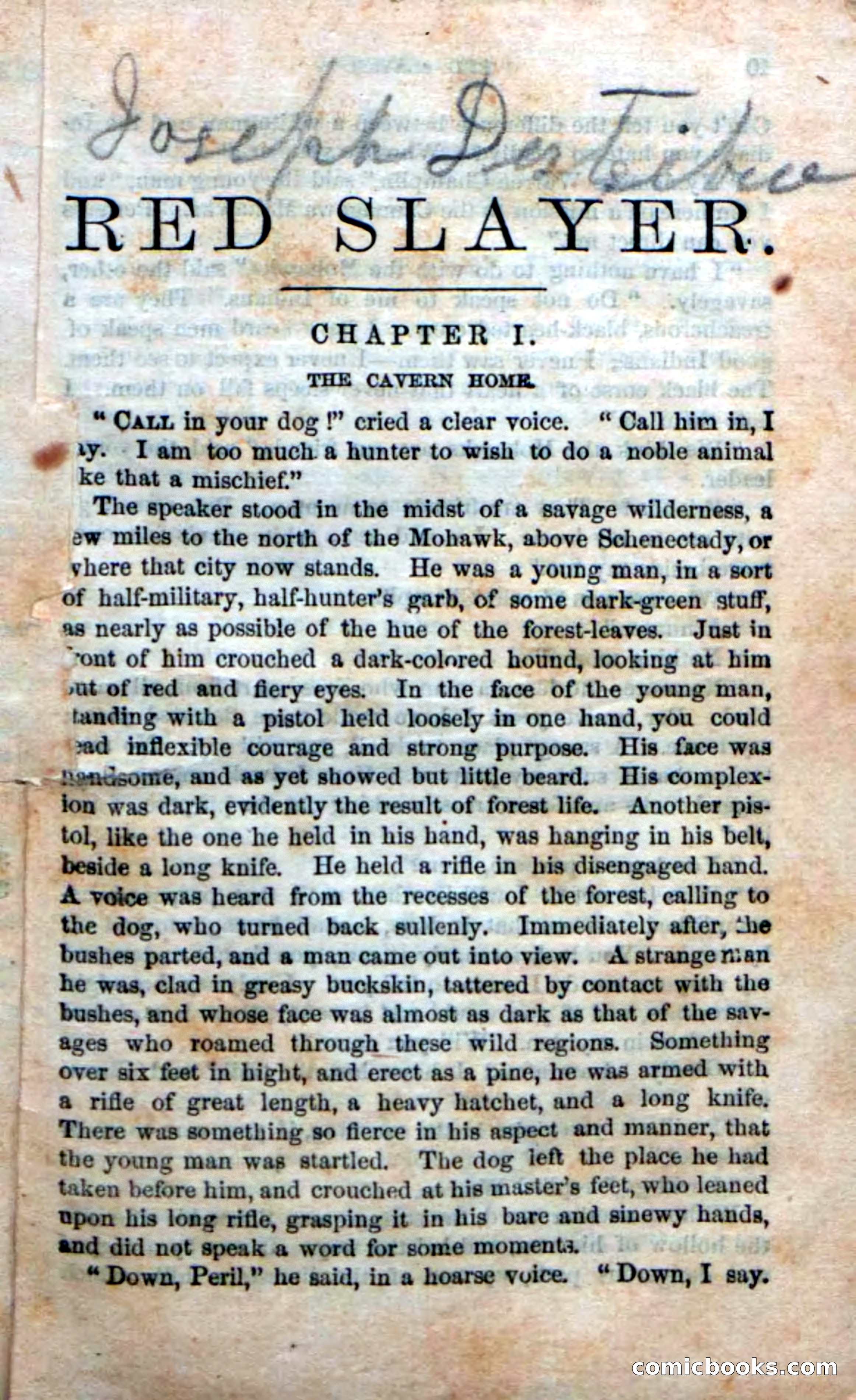 Beadle's New Dime Novels: Red Slayer — page 5 of 100