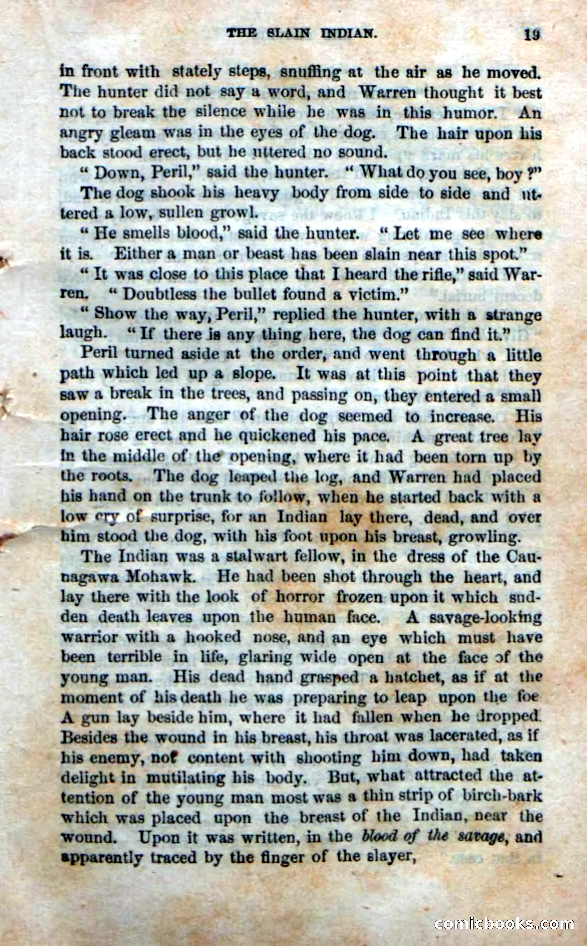Beadle's New Dime Novels: Red Slayer — page 15 of 100