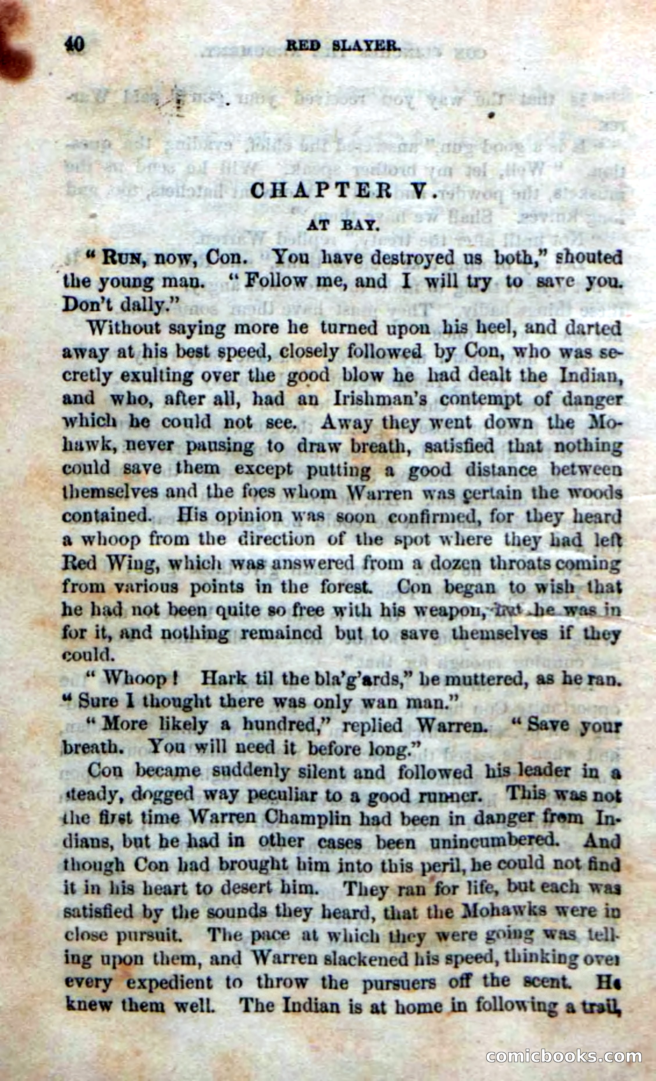 Beadle's New Dime Novels: Red Slayer — page 36 of 100
