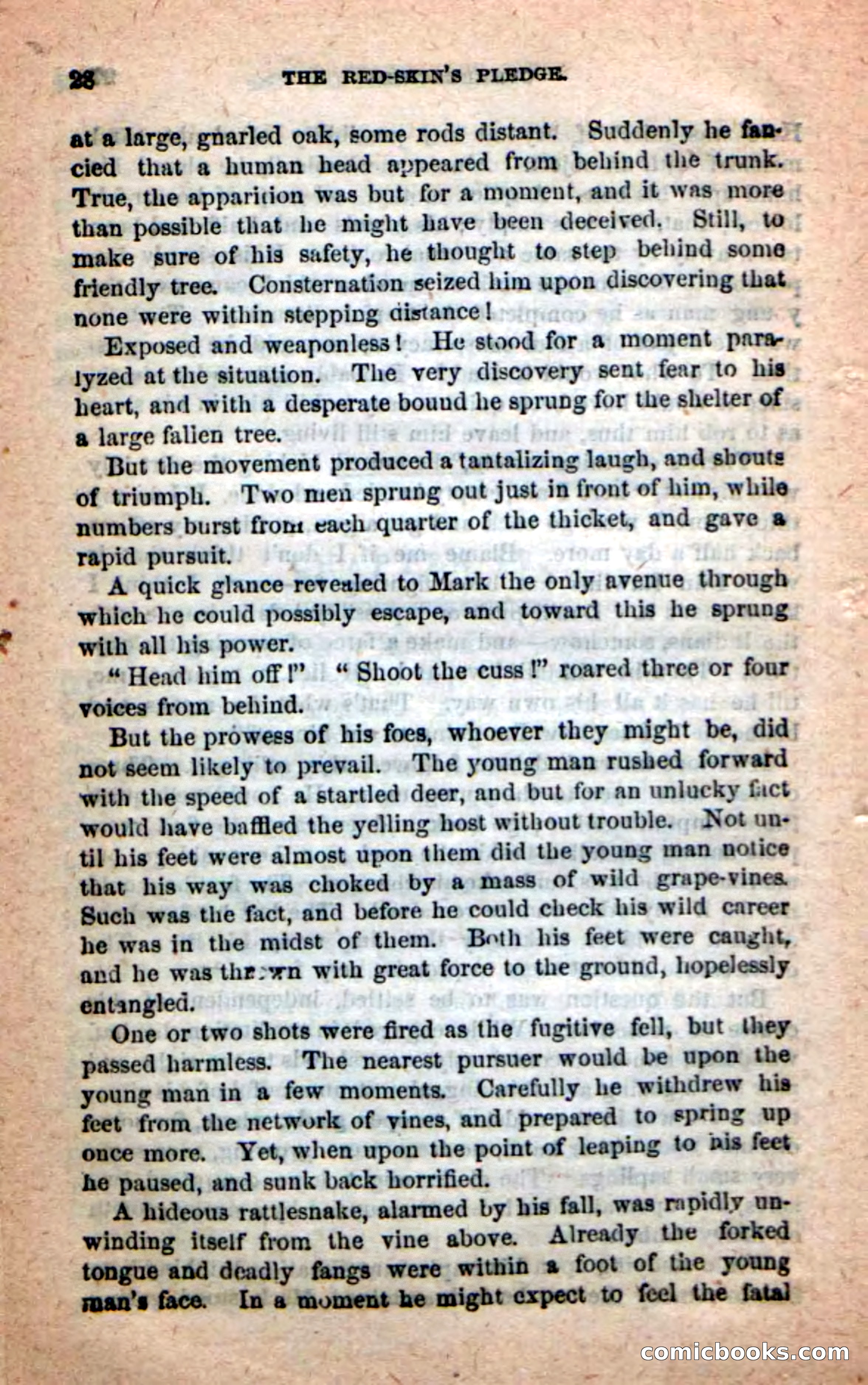 Beadle's Dime Novels: Red-Skin's Pledge — page 24 of 100