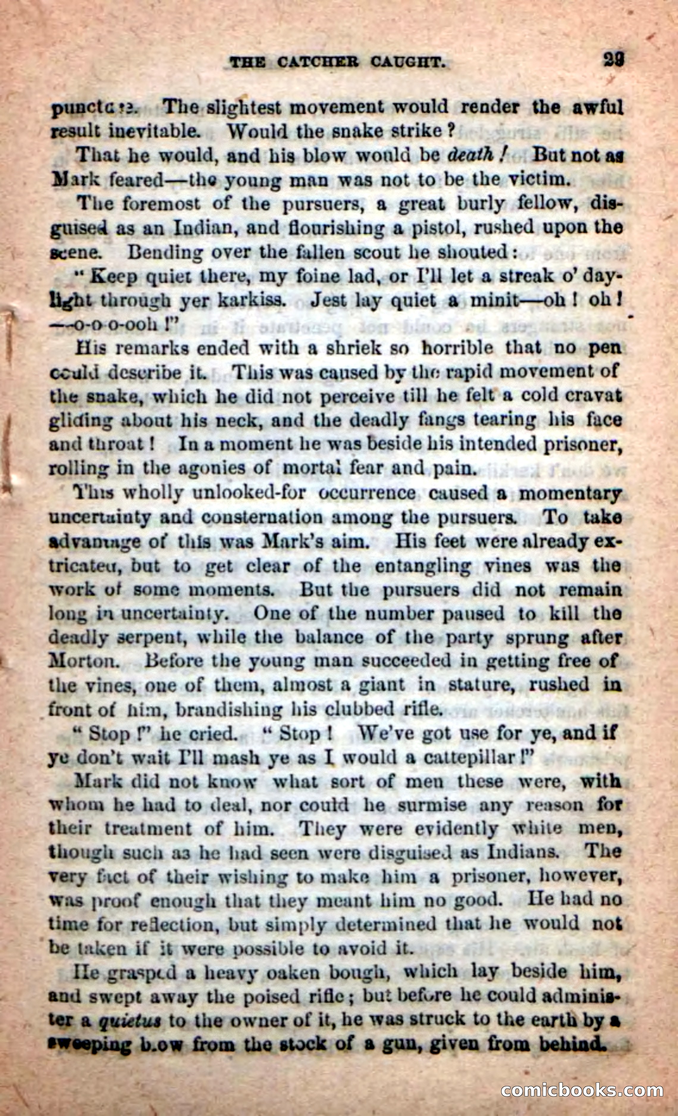 Beadle's Dime Novels: Red-Skin's Pledge — page 25 of 100