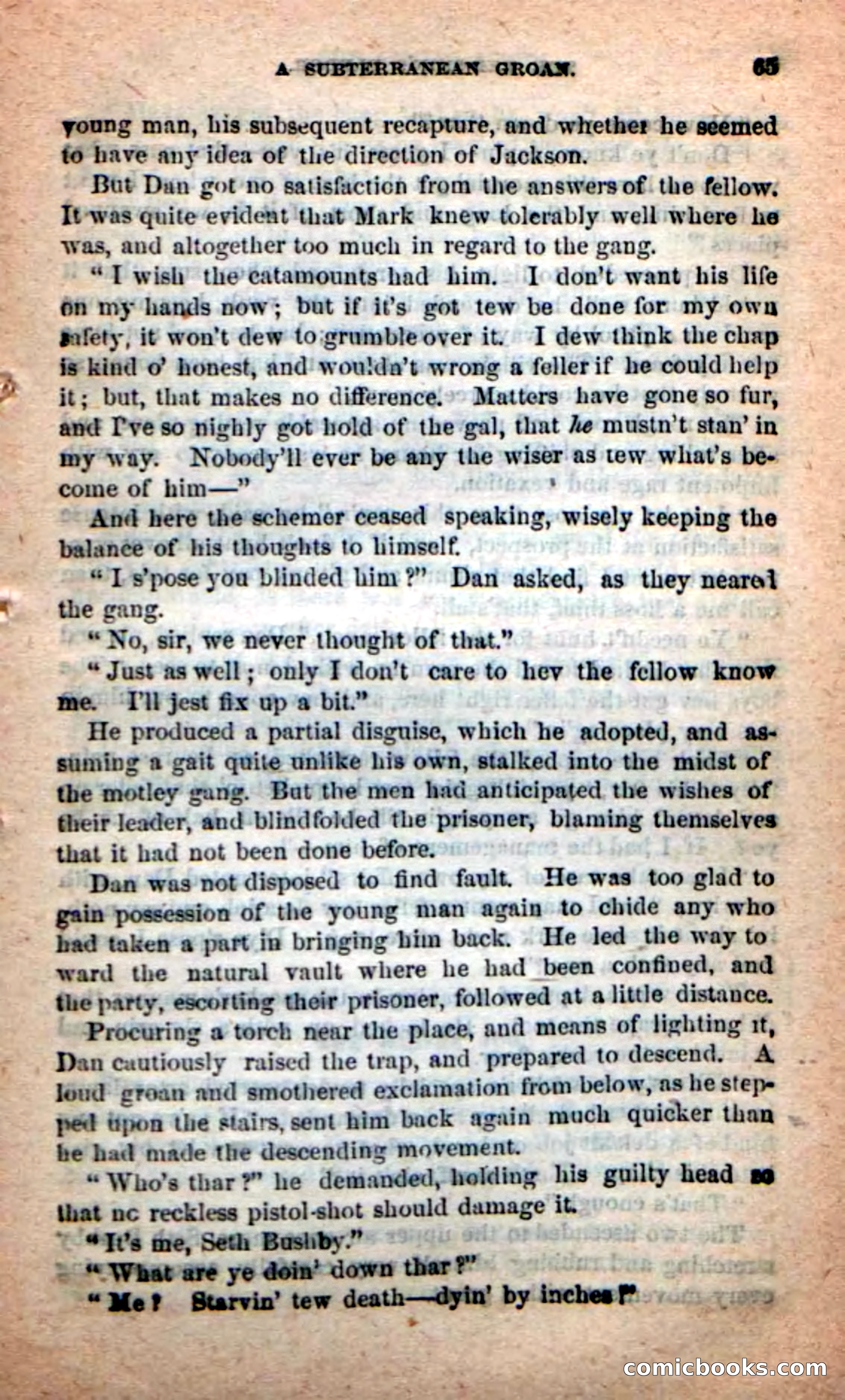Beadle's Dime Novels: Red-Skin's Pledge — page 61 of 100