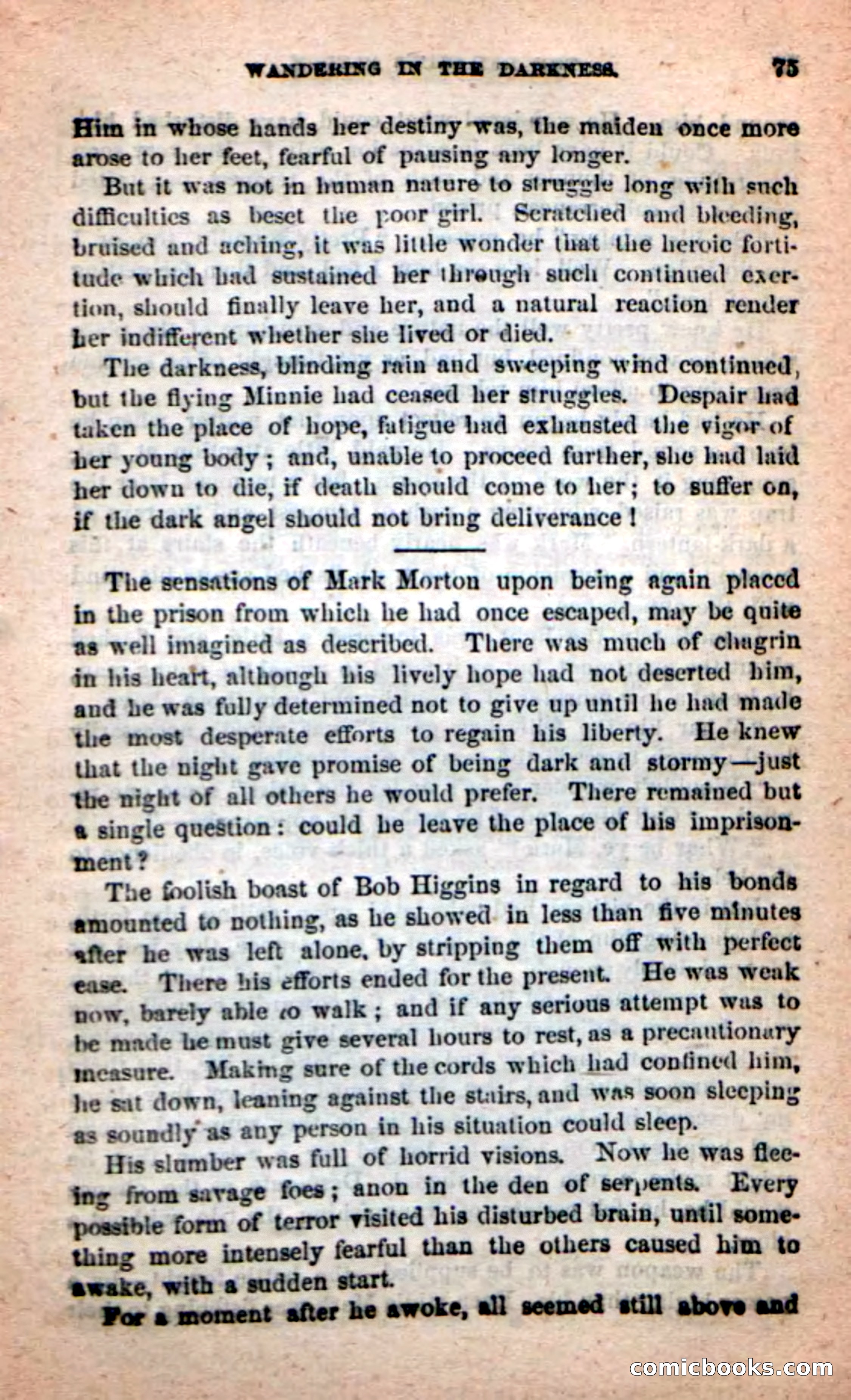 Beadle's Dime Novels: Red-Skin's Pledge — page 71 of 100