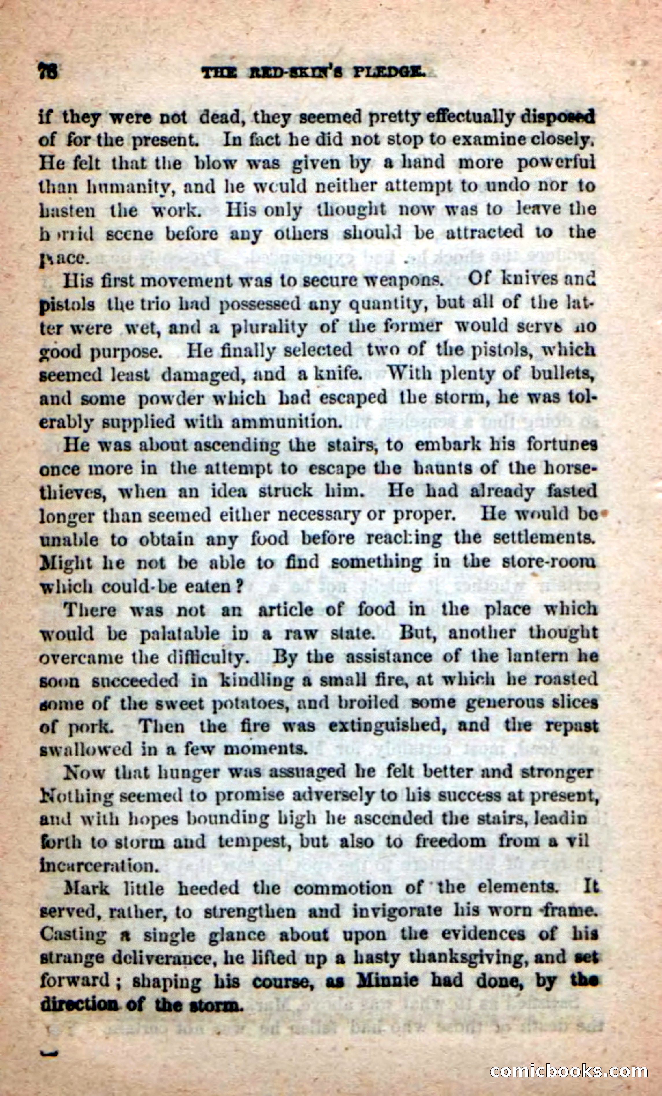 Beadle's Dime Novels: Red-Skin's Pledge — page 74 of 100