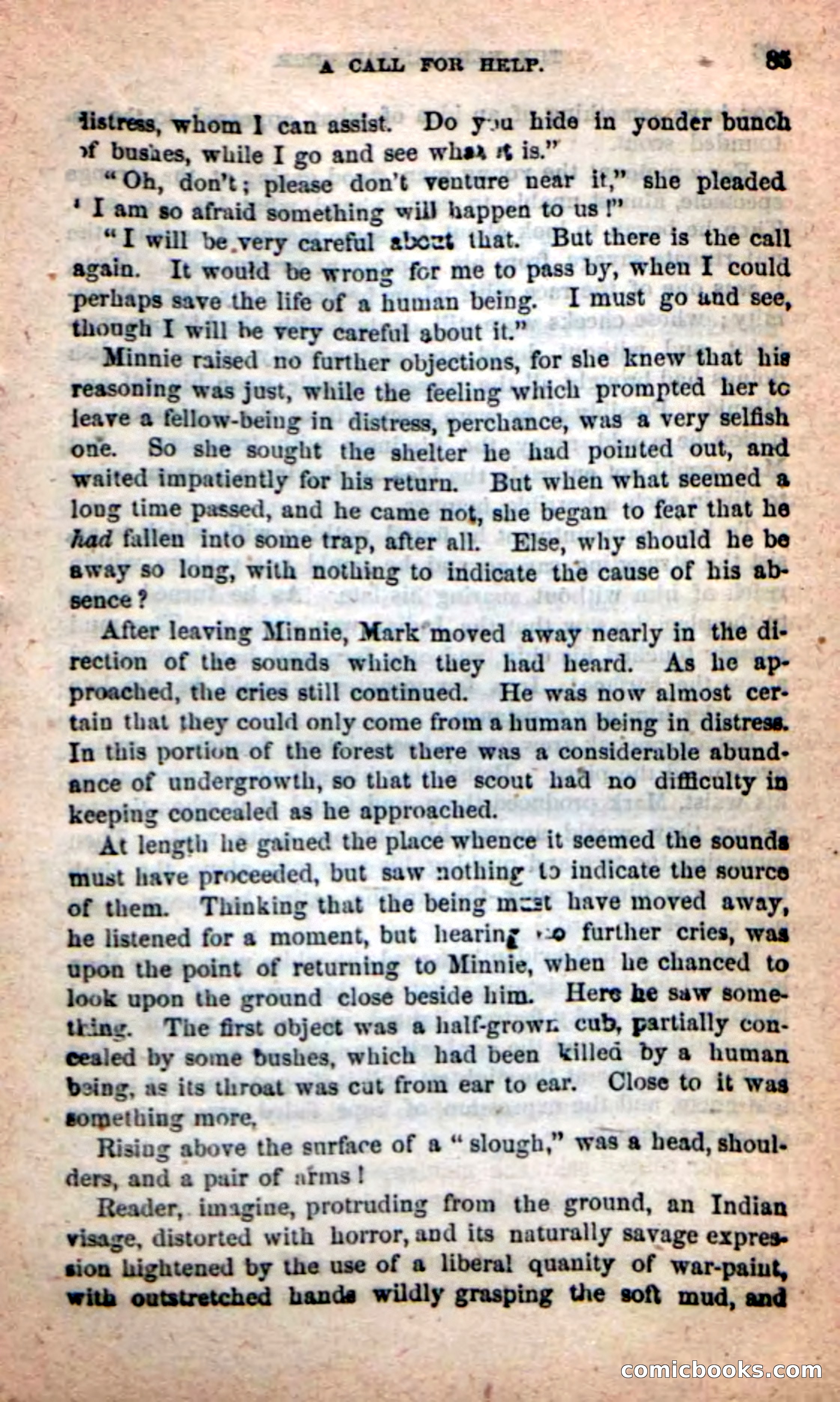 Beadle's Dime Novels: Red-Skin's Pledge — page 81 of 100