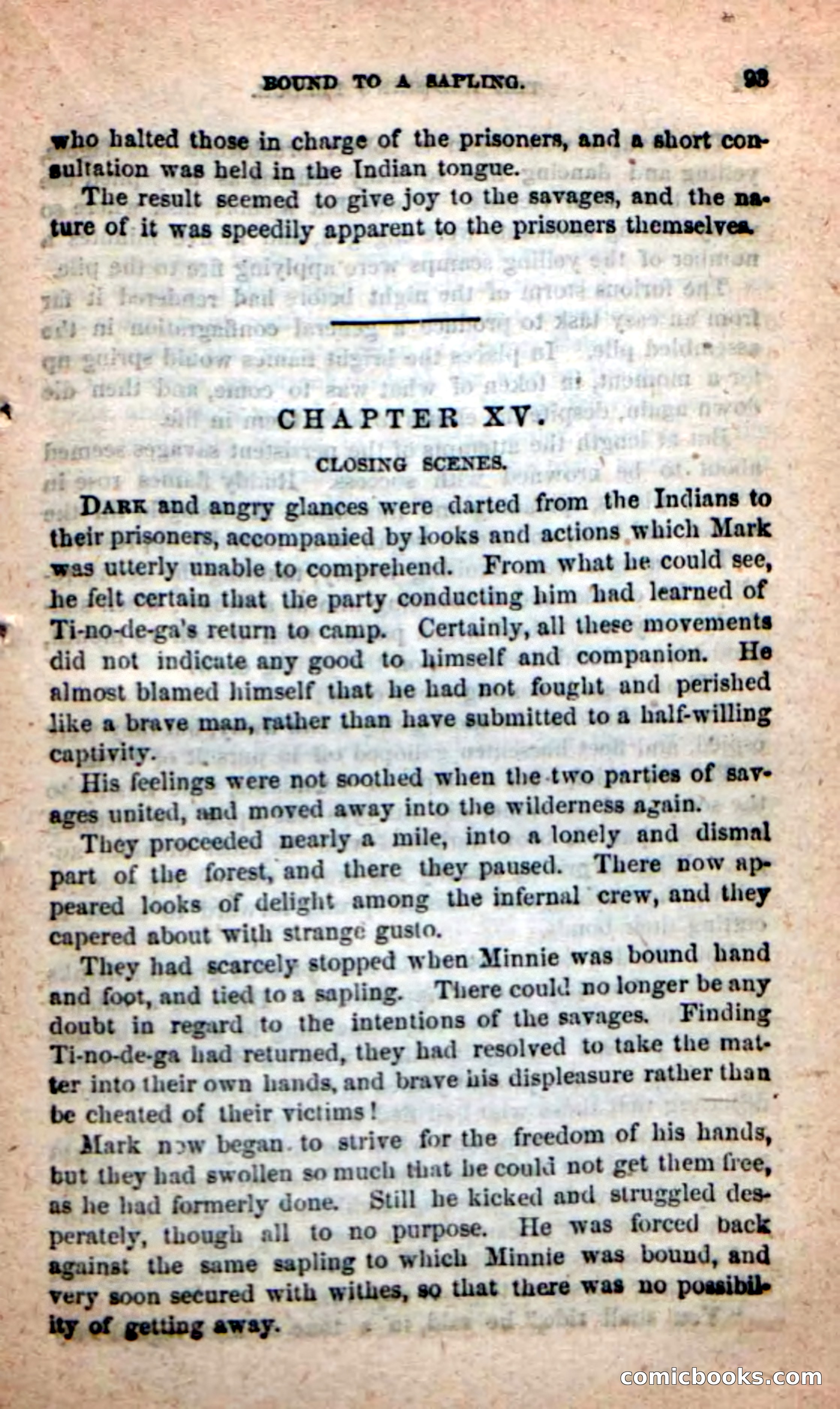 Beadle's Dime Novels: Red-Skin's Pledge — page 89 of 100