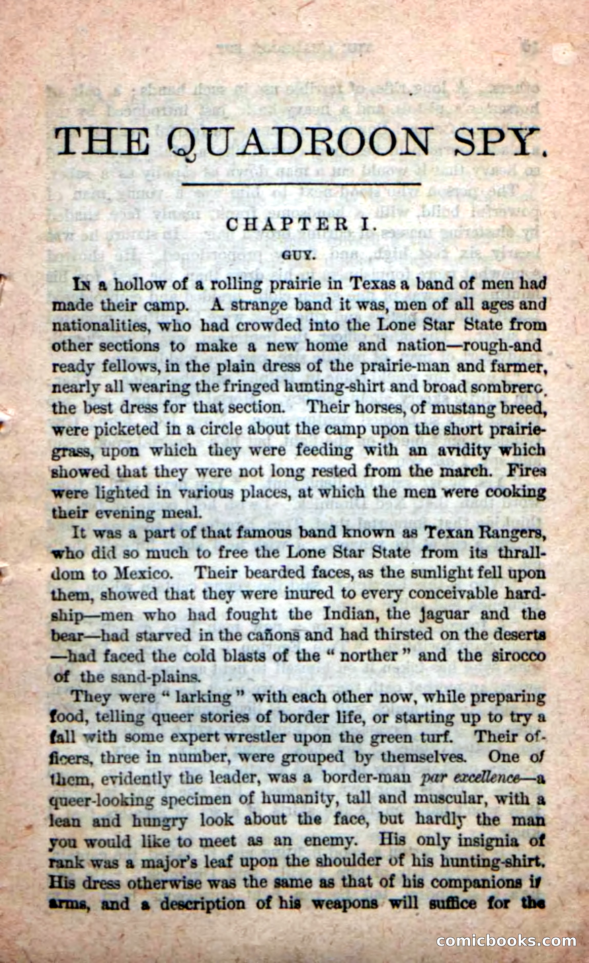 Beadle's New Dime Novels: The Quadroon Spy — page 5 of 100