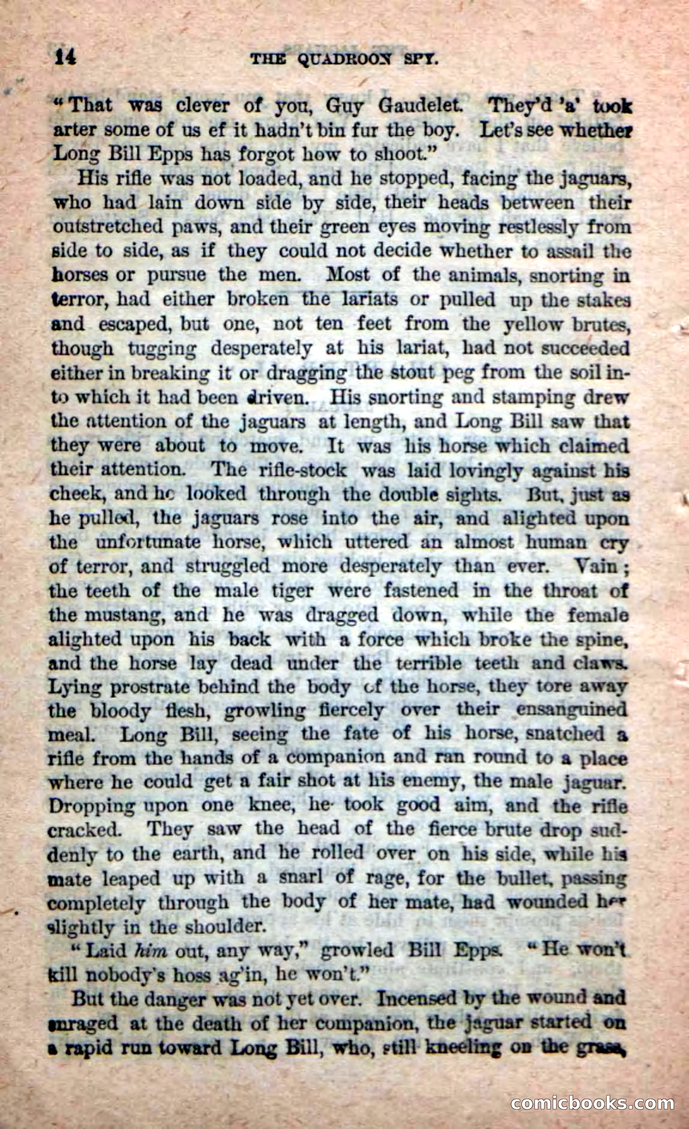 Beadle's New Dime Novels: The Quadroon Spy — page 10 of 100