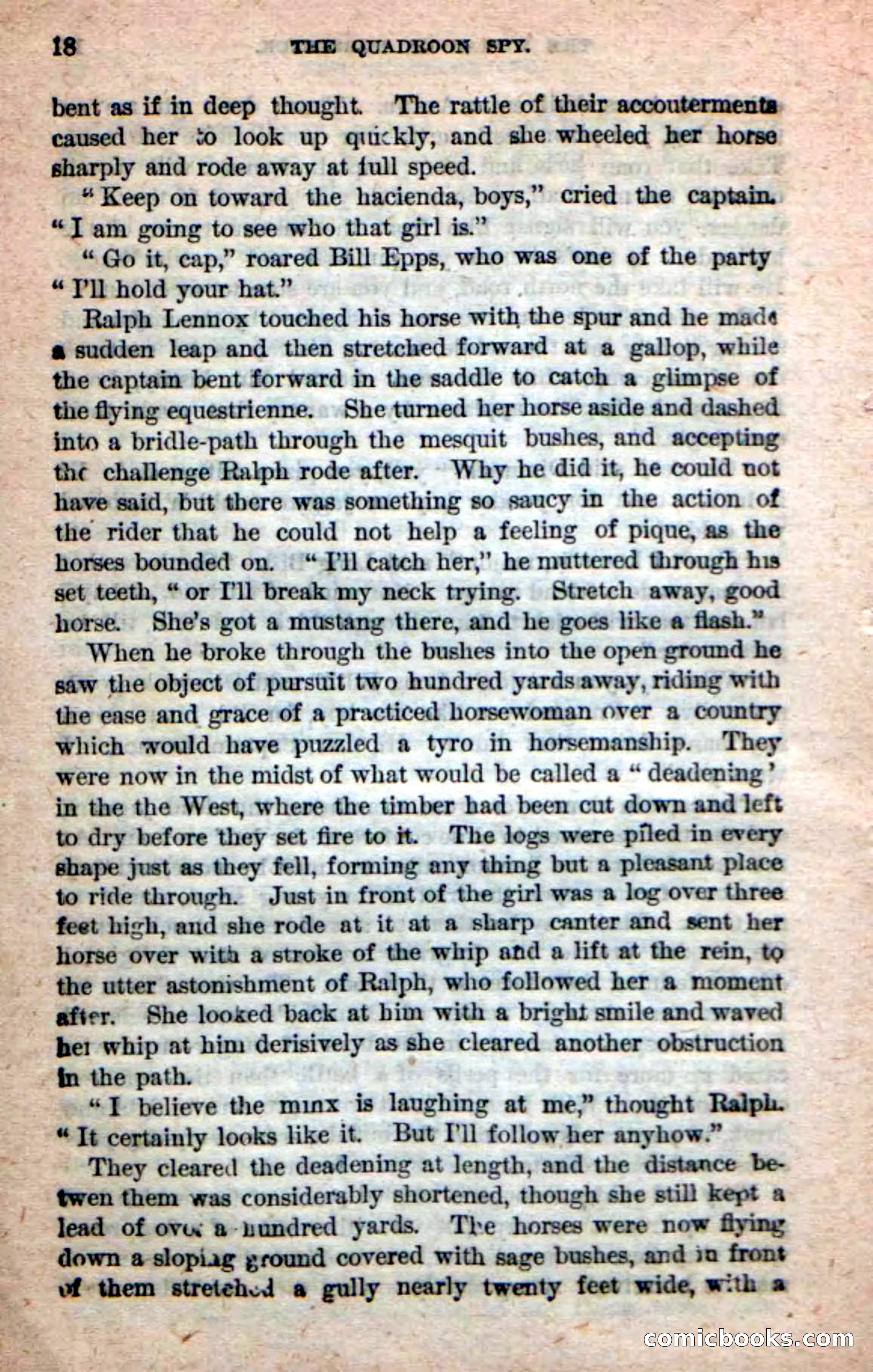 Beadle's New Dime Novels: The Quadroon Spy — page 14 of 100