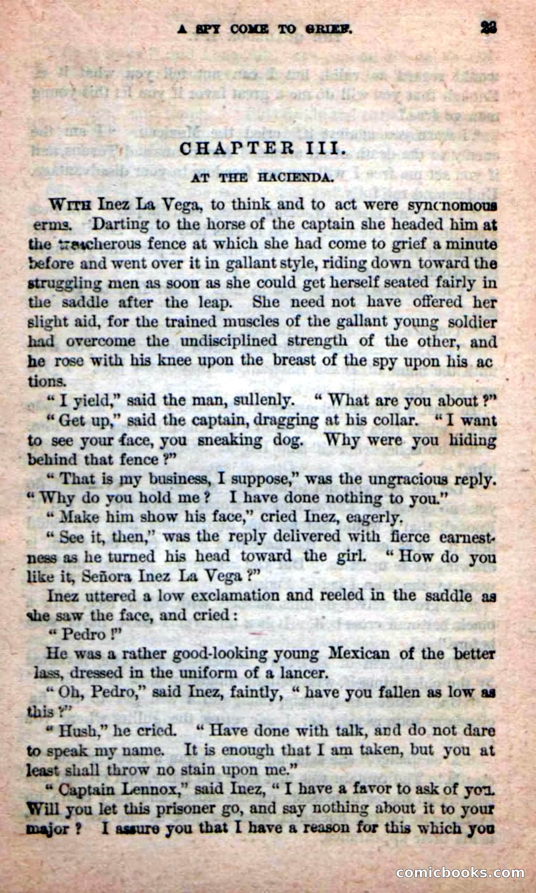 Beadle's New Dime Novels: The Quadroon Spy — page 19 of 100