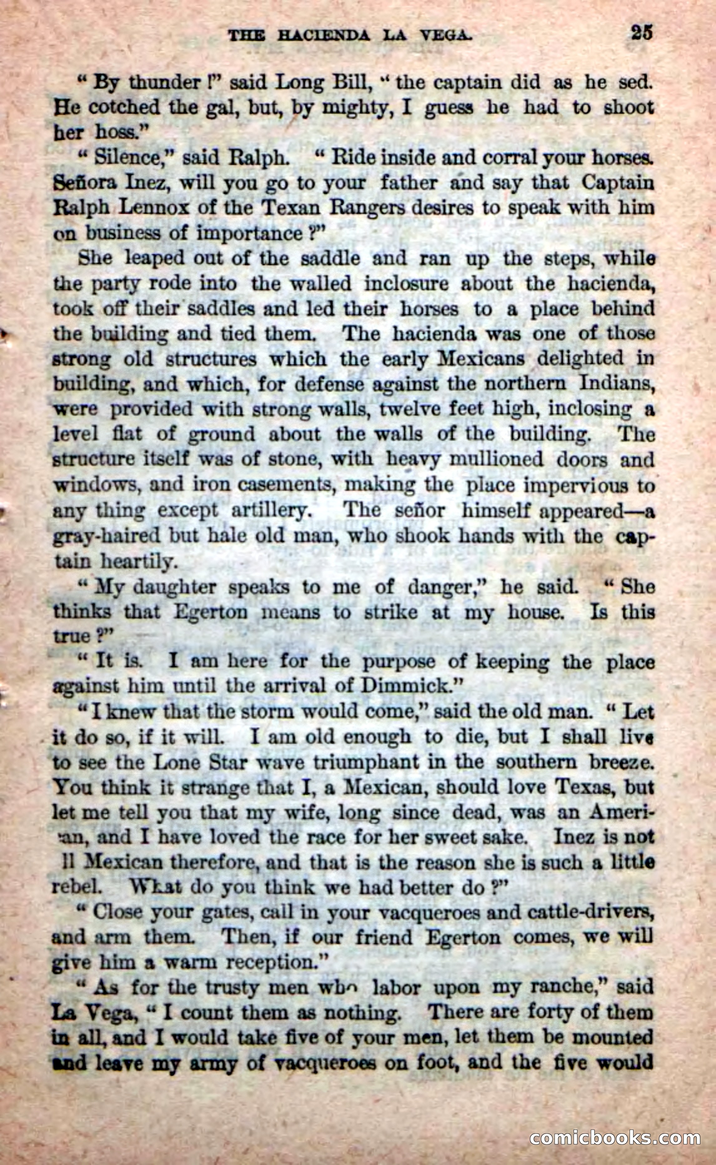 Beadle's New Dime Novels: The Quadroon Spy — page 21 of 100