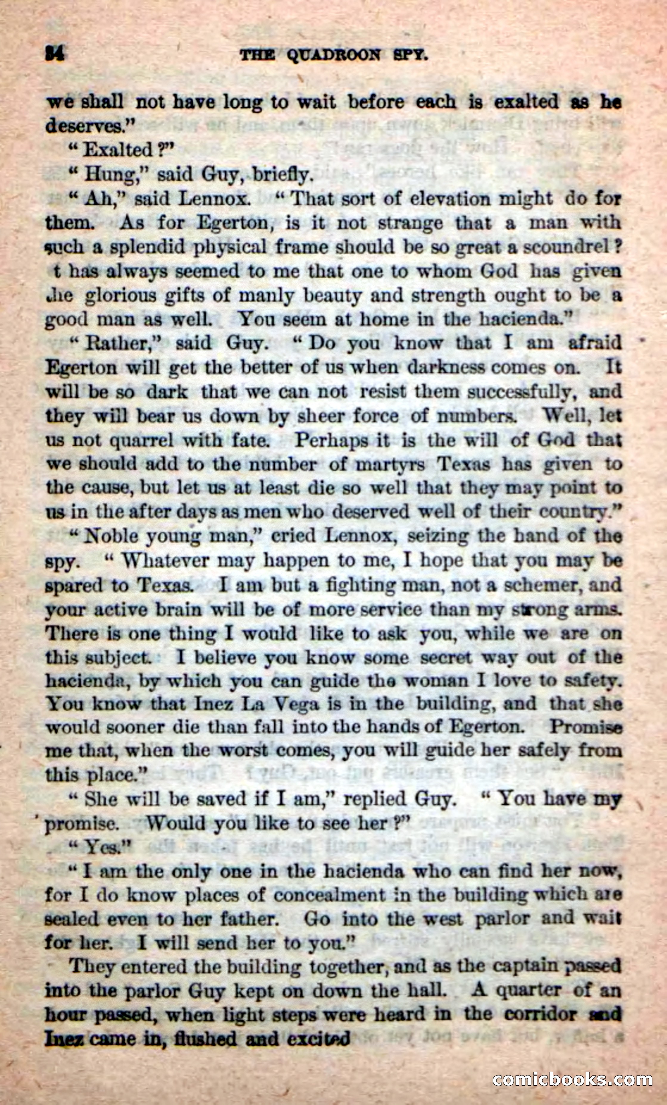 Beadle's New Dime Novels: The Quadroon Spy — page 30 of 100