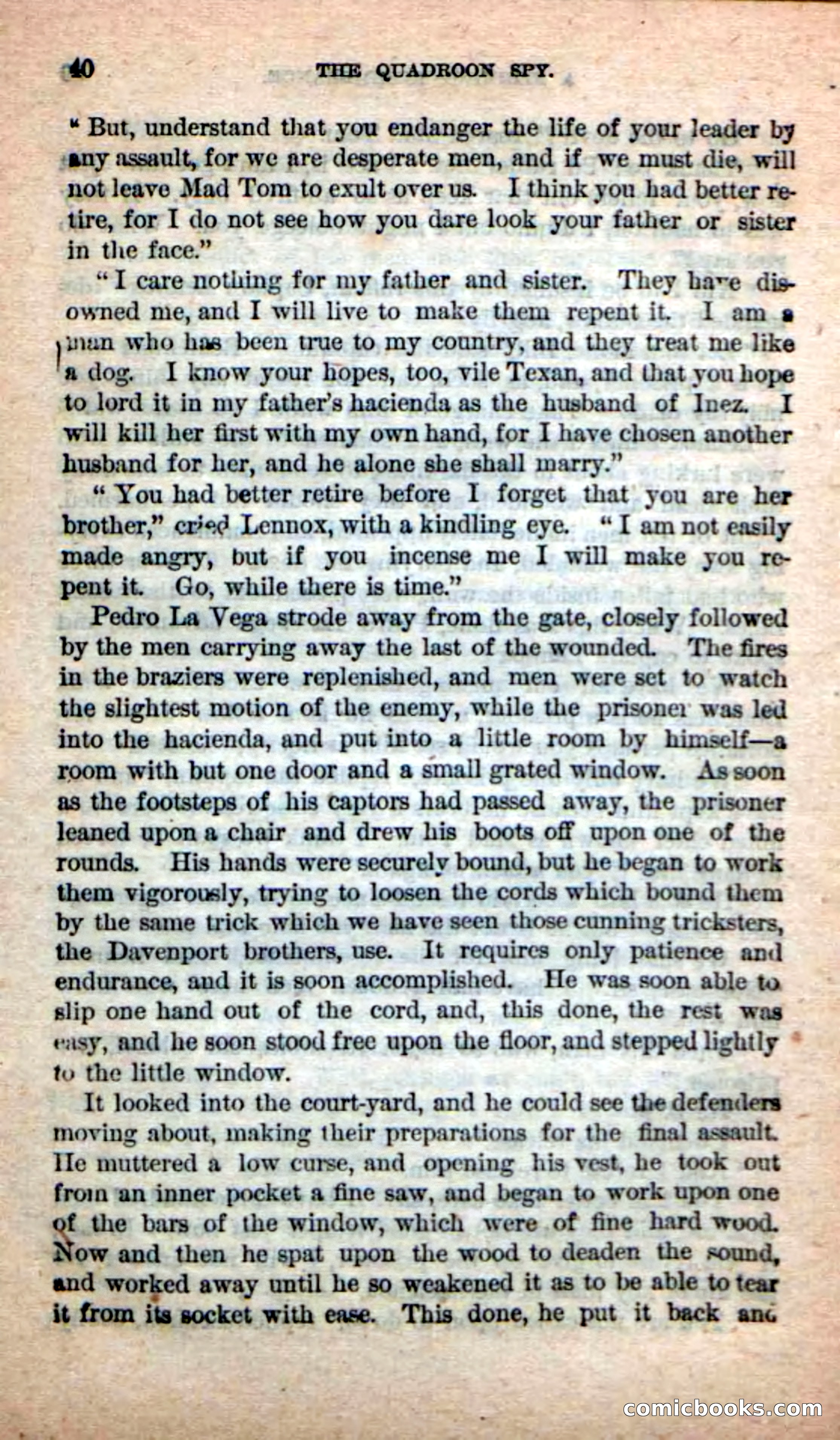 Beadle's New Dime Novels: The Quadroon Spy — page 36 of 100