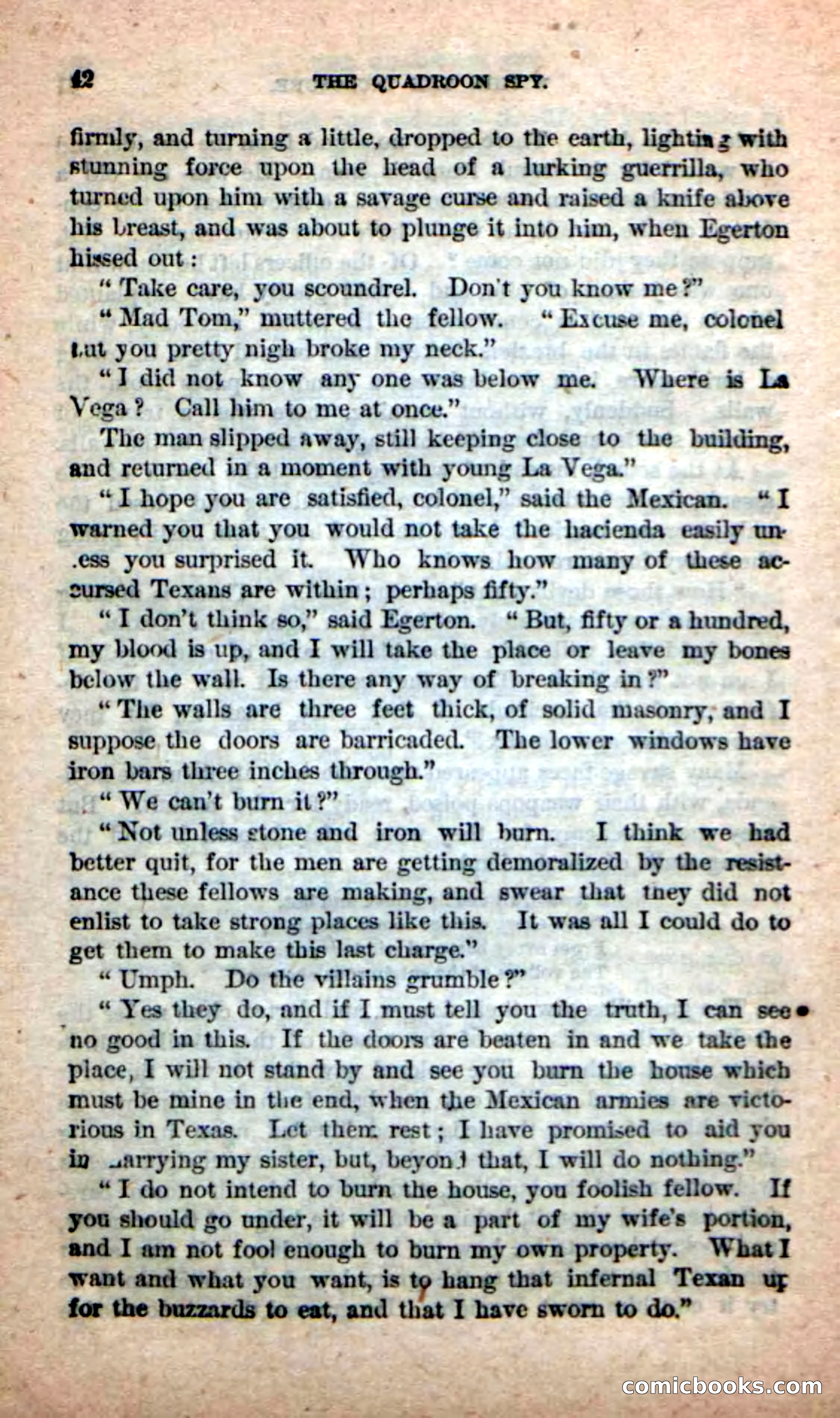 Beadle's New Dime Novels: The Quadroon Spy — page 38 of 100