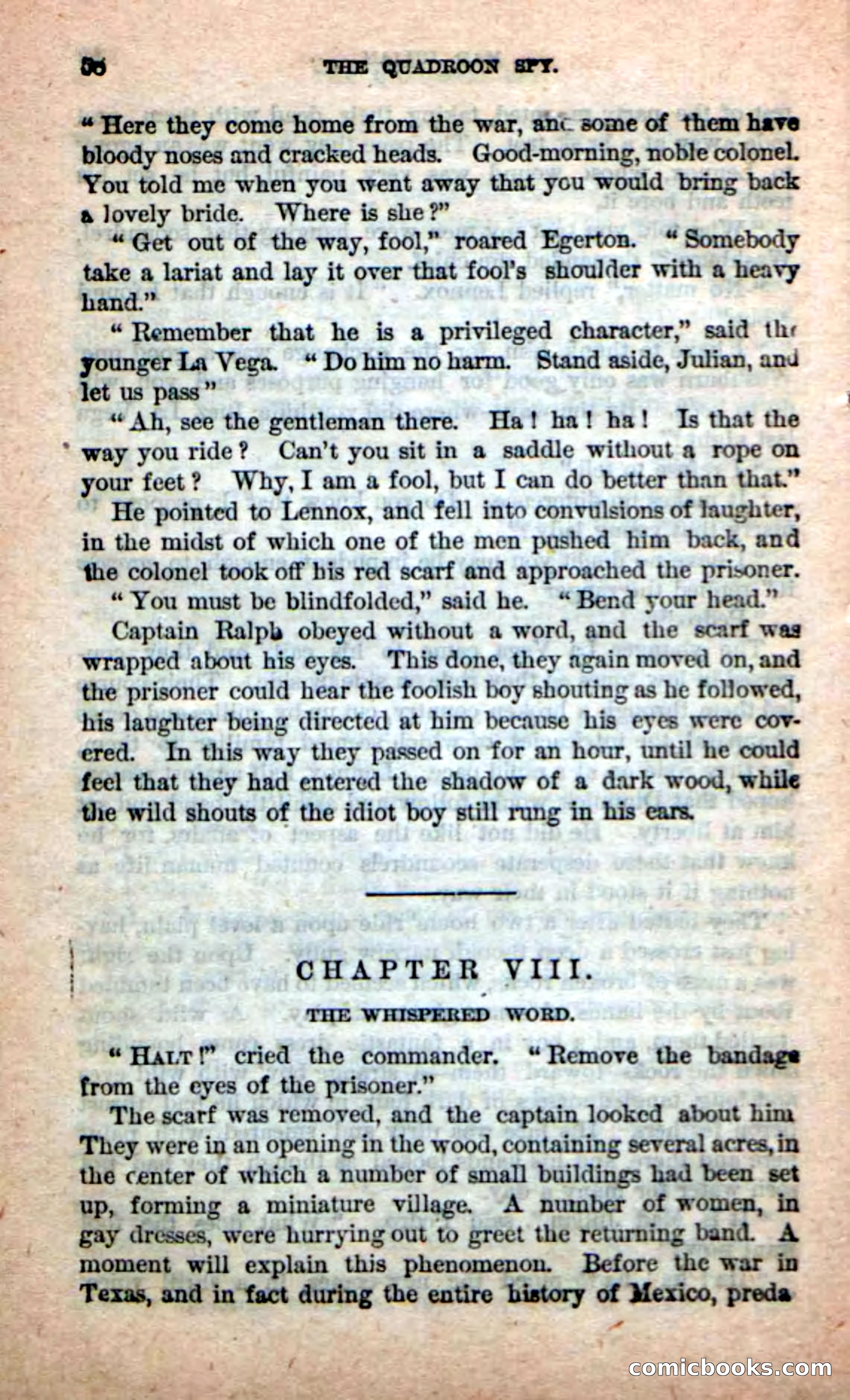 Beadle's New Dime Novels: The Quadroon Spy — page 54 of 100