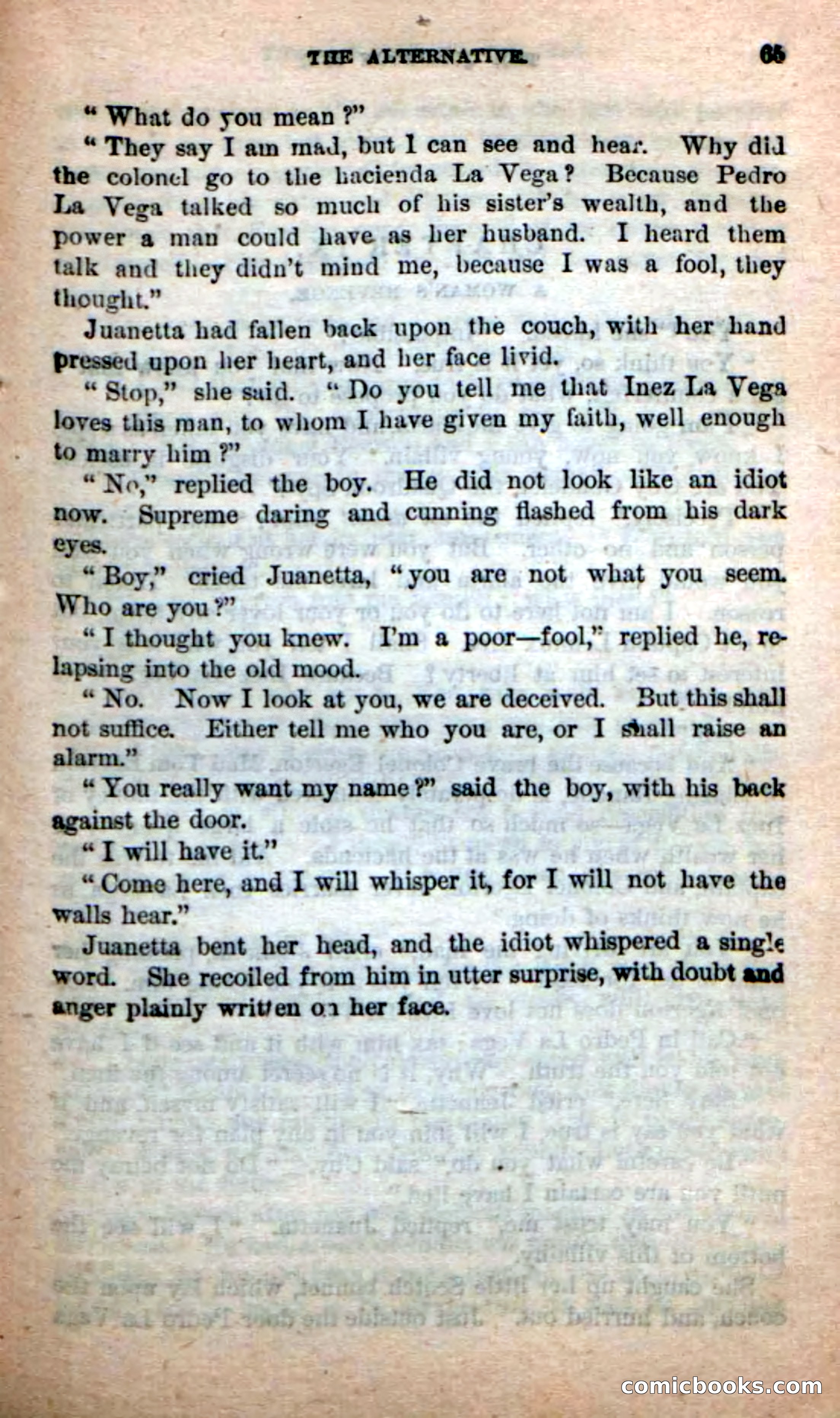 Beadle's New Dime Novels: The Quadroon Spy — page 61 of 100
