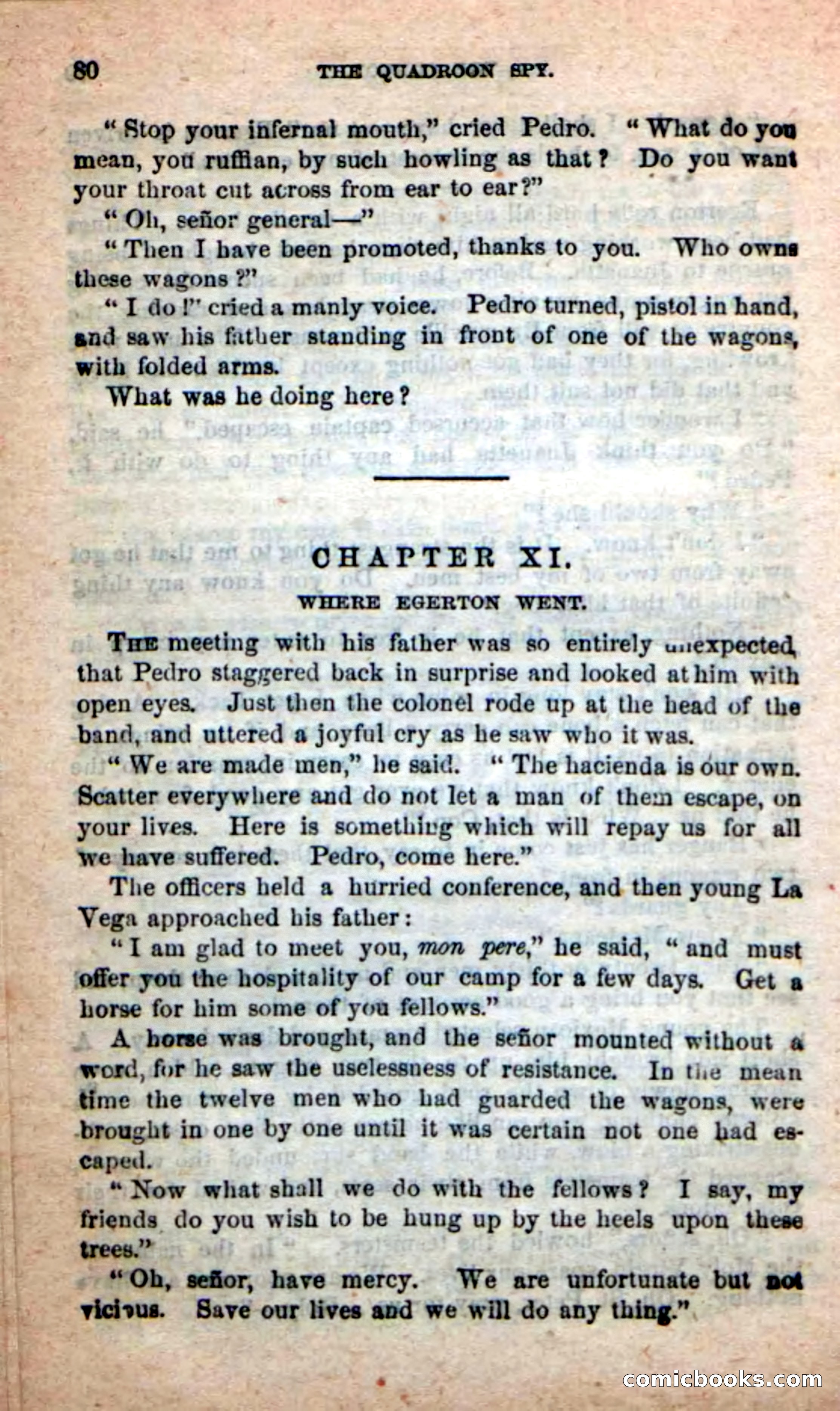 Beadle's New Dime Novels: The Quadroon Spy — page 76 of 100