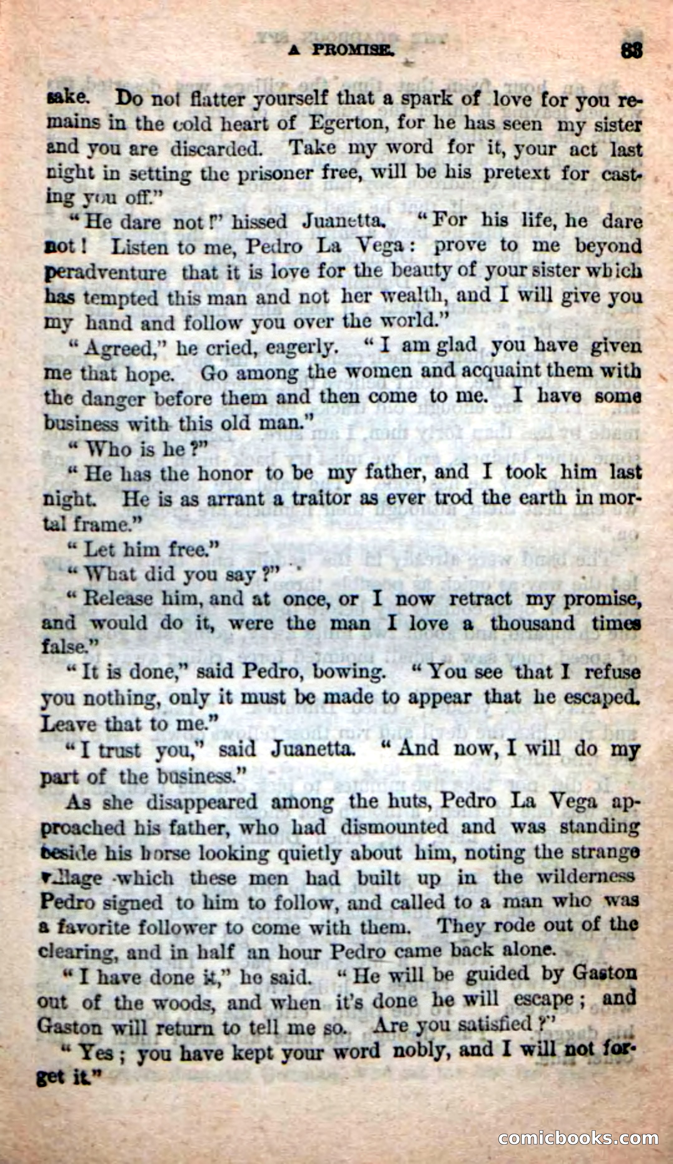 Beadle's New Dime Novels: The Quadroon Spy — page 79 of 100