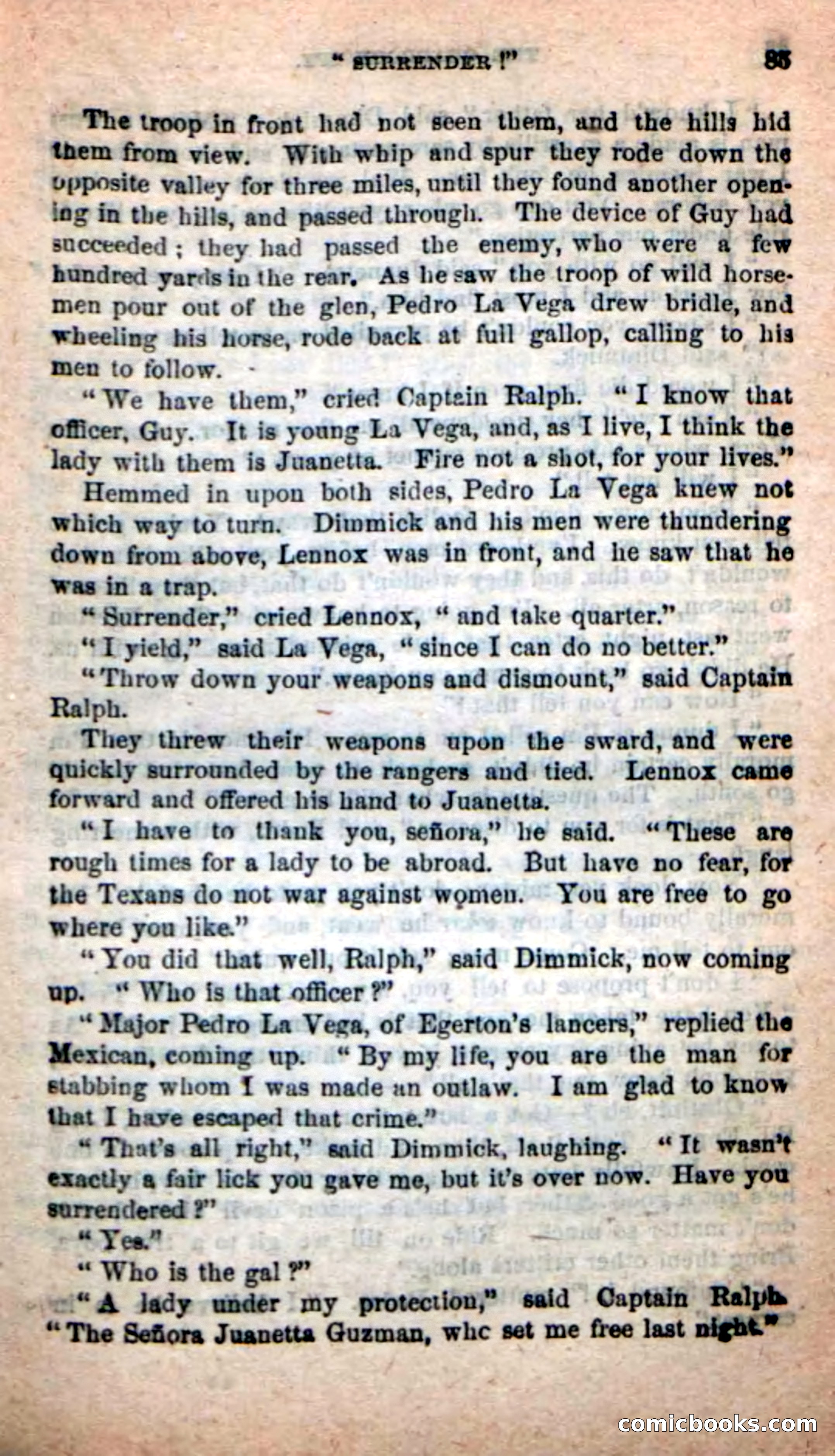 Beadle's New Dime Novels: The Quadroon Spy — page 81 of 100