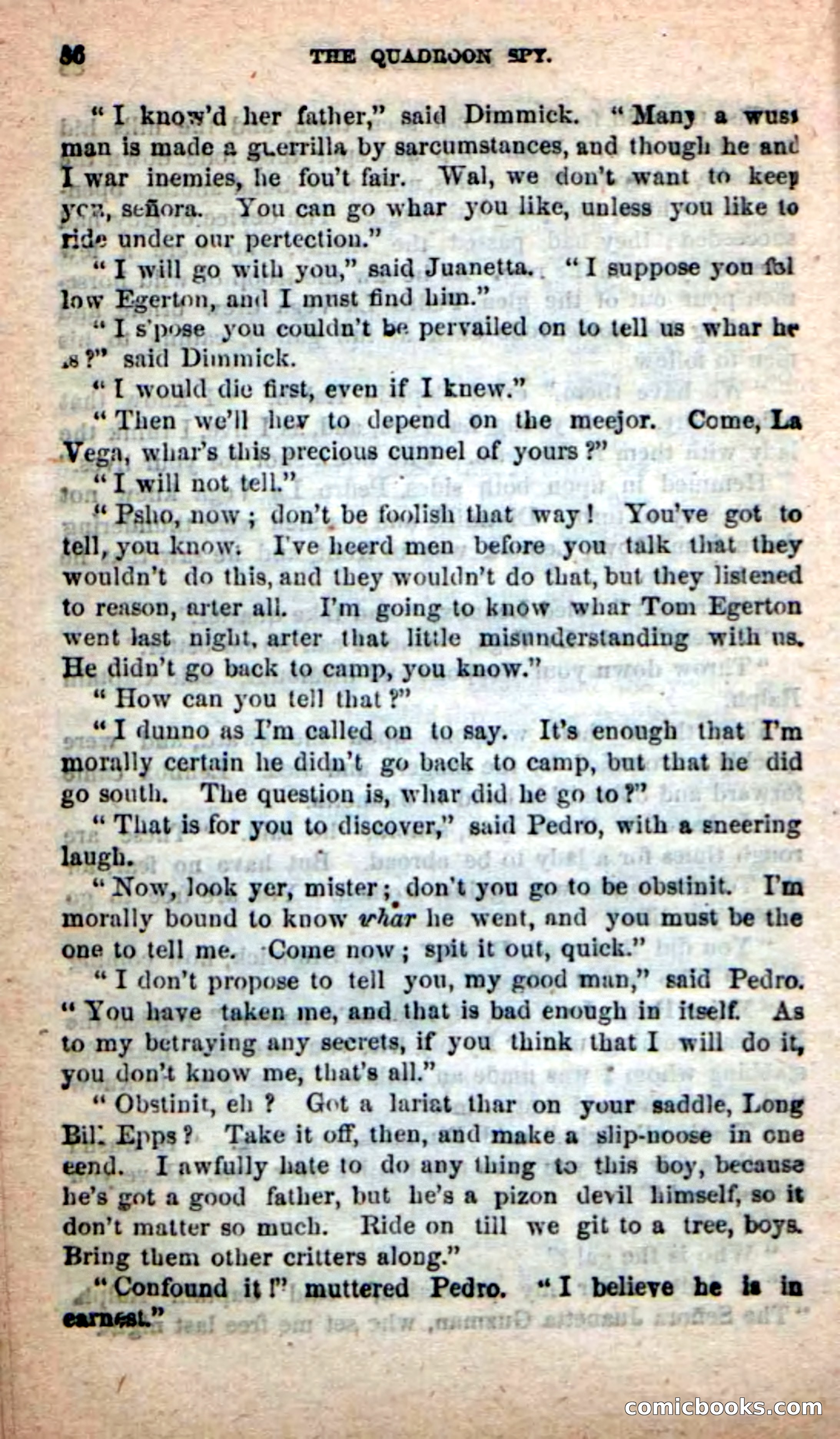 Beadle's New Dime Novels: The Quadroon Spy — page 82 of 100