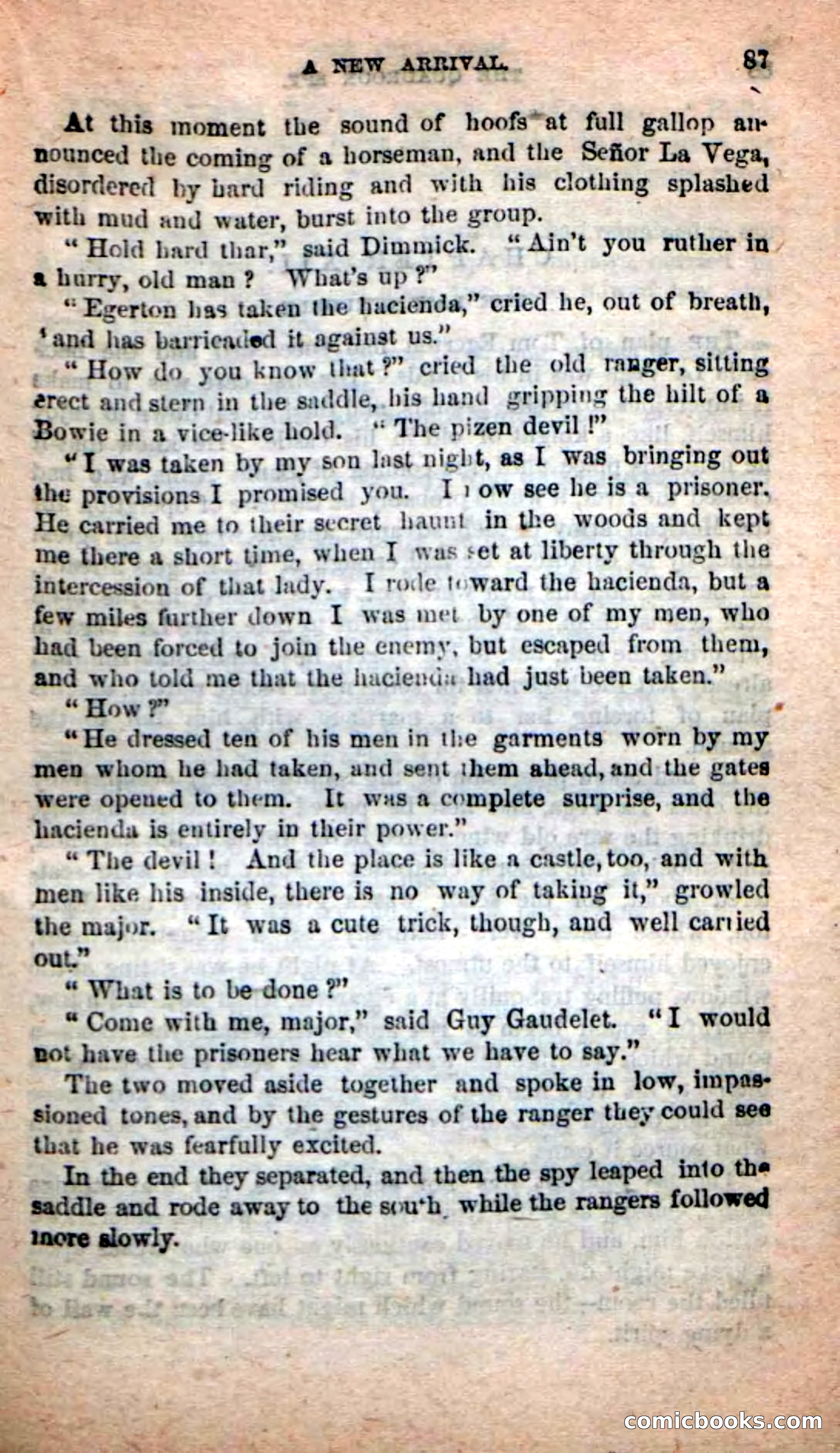 Beadle's New Dime Novels: The Quadroon Spy — page 83 of 100