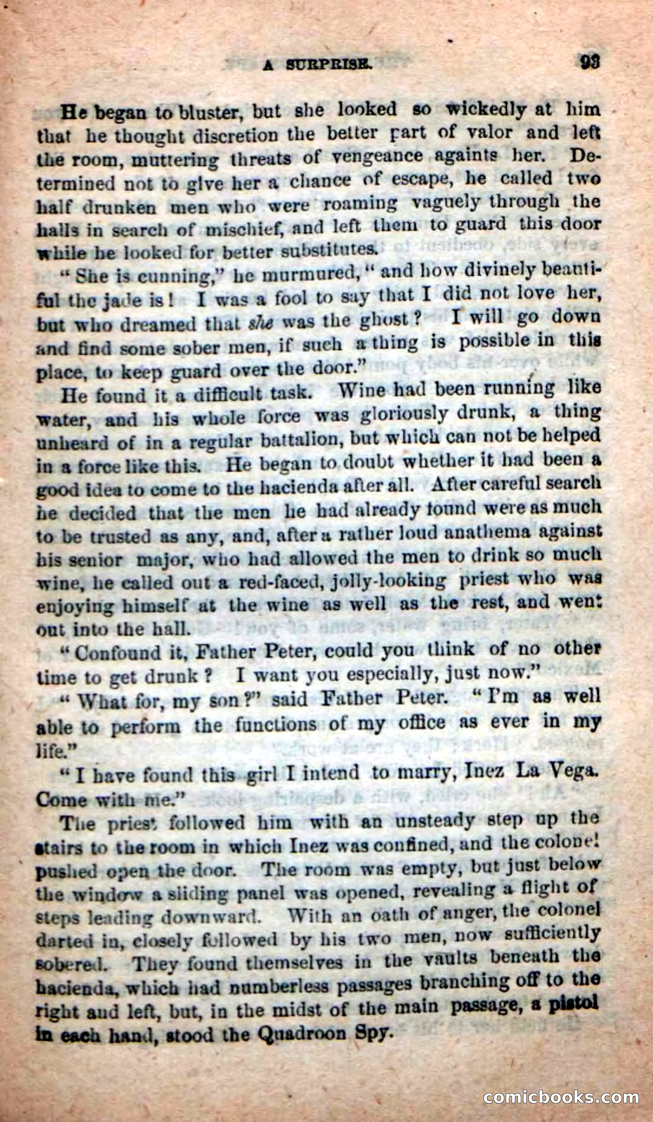 Beadle's New Dime Novels: The Quadroon Spy — page 89 of 100