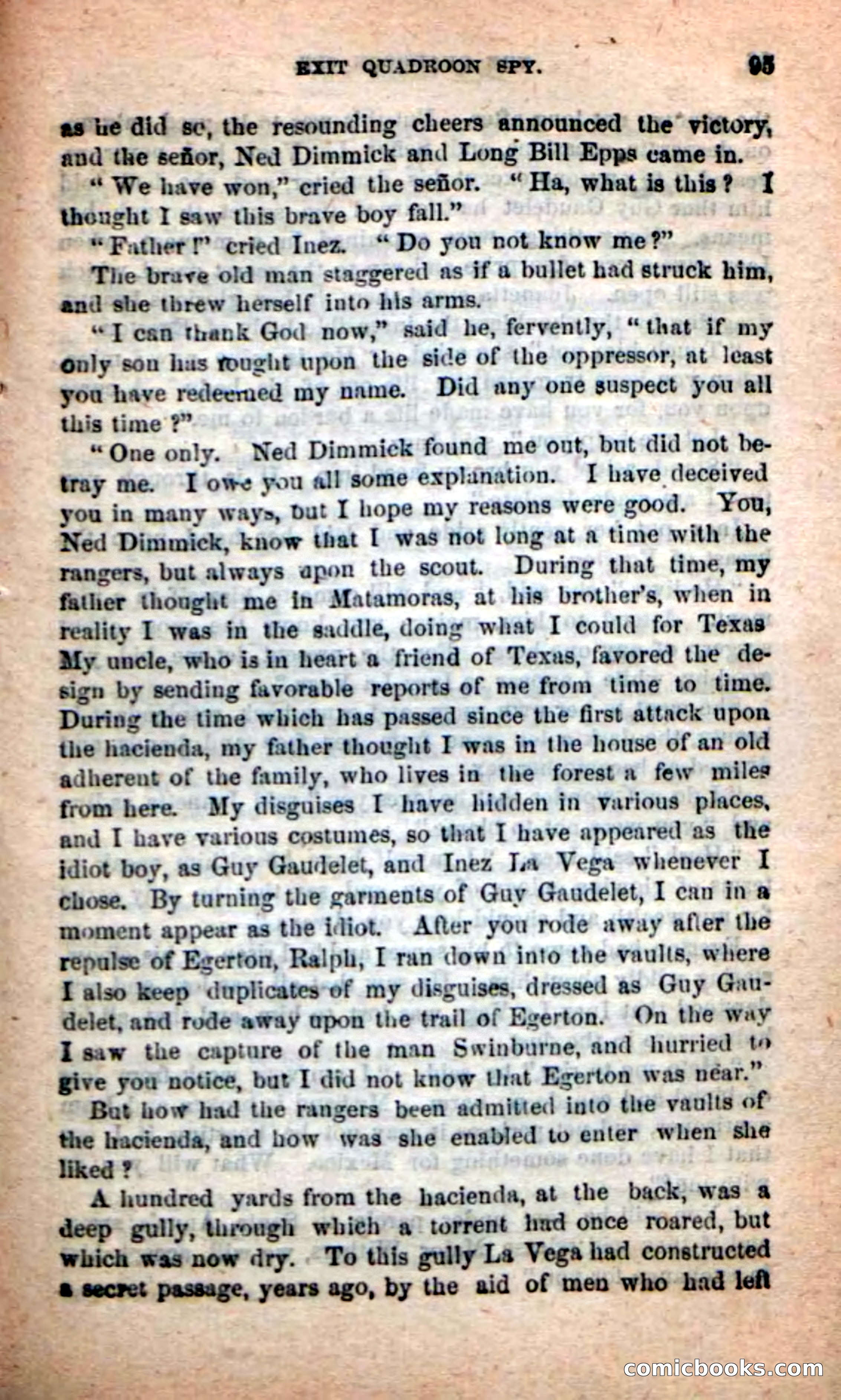 Beadle's New Dime Novels: The Quadroon Spy — page 91 of 100