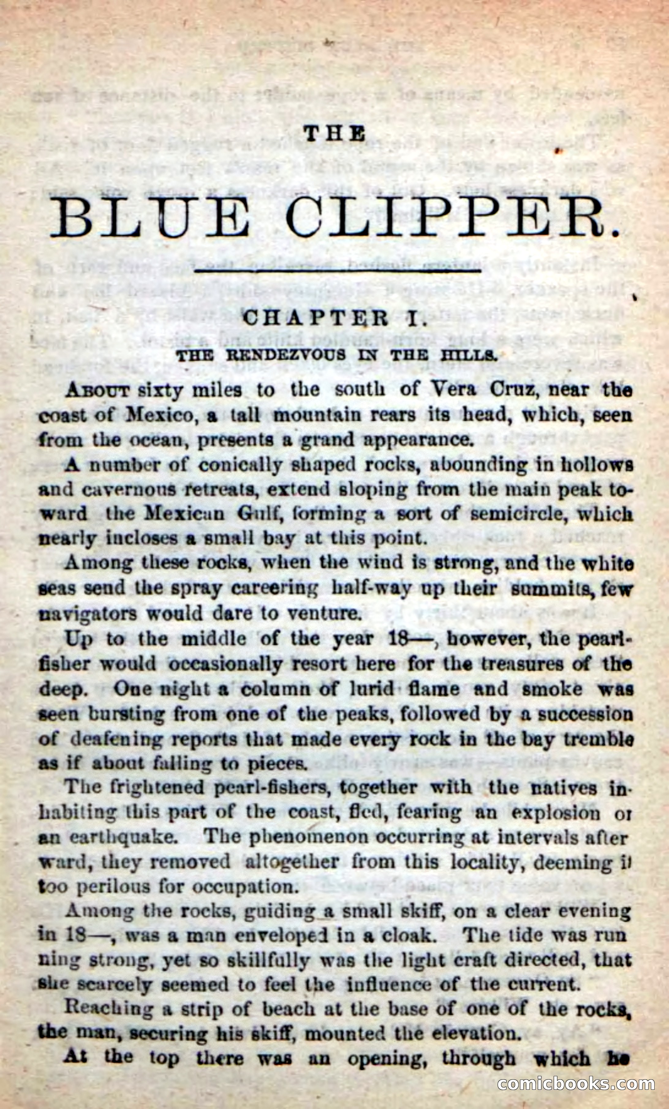 Beadle's New Dime Novels: The Blue Clipper — page 5 of 98