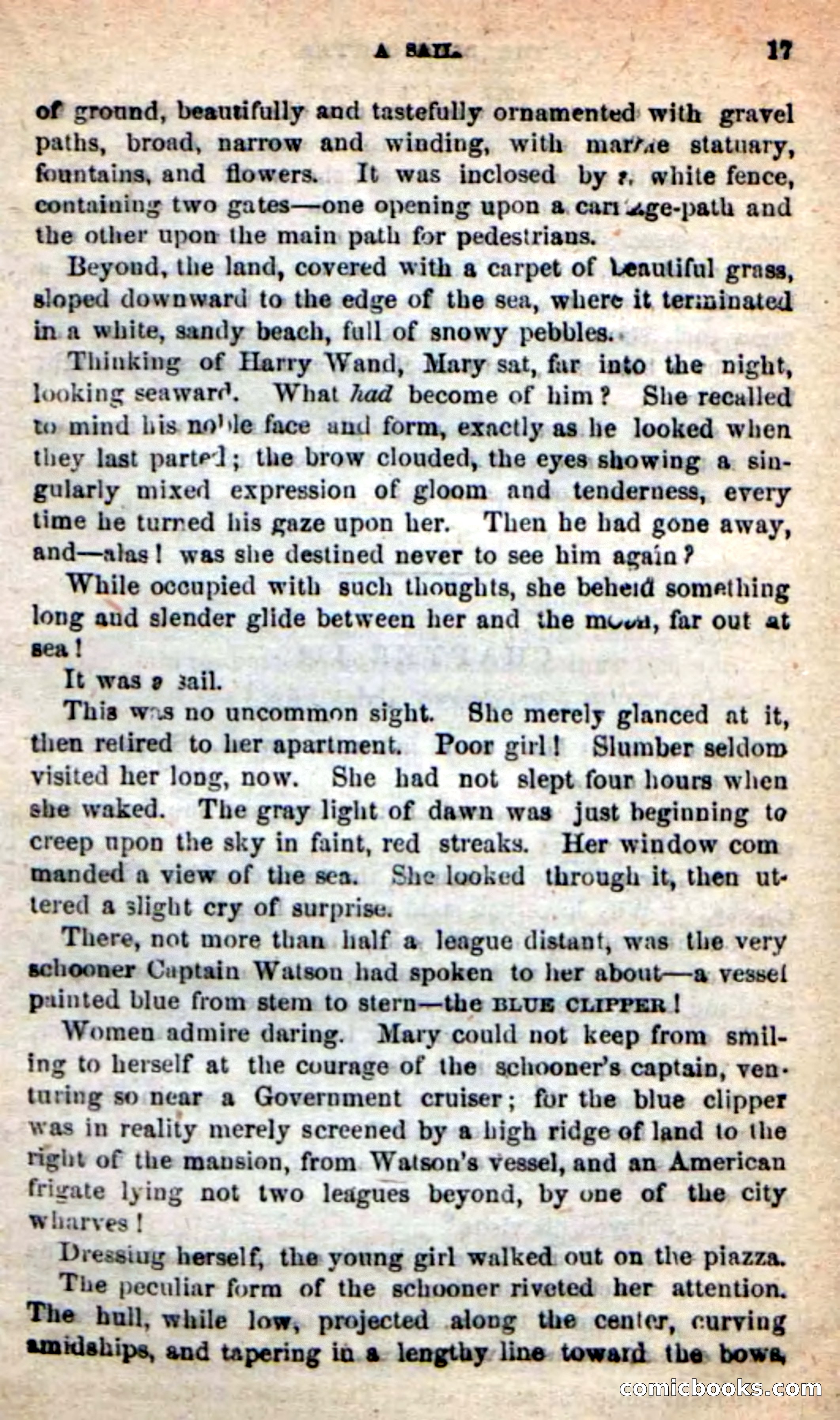 Beadle's New Dime Novels: The Blue Clipper — page 13 of 98