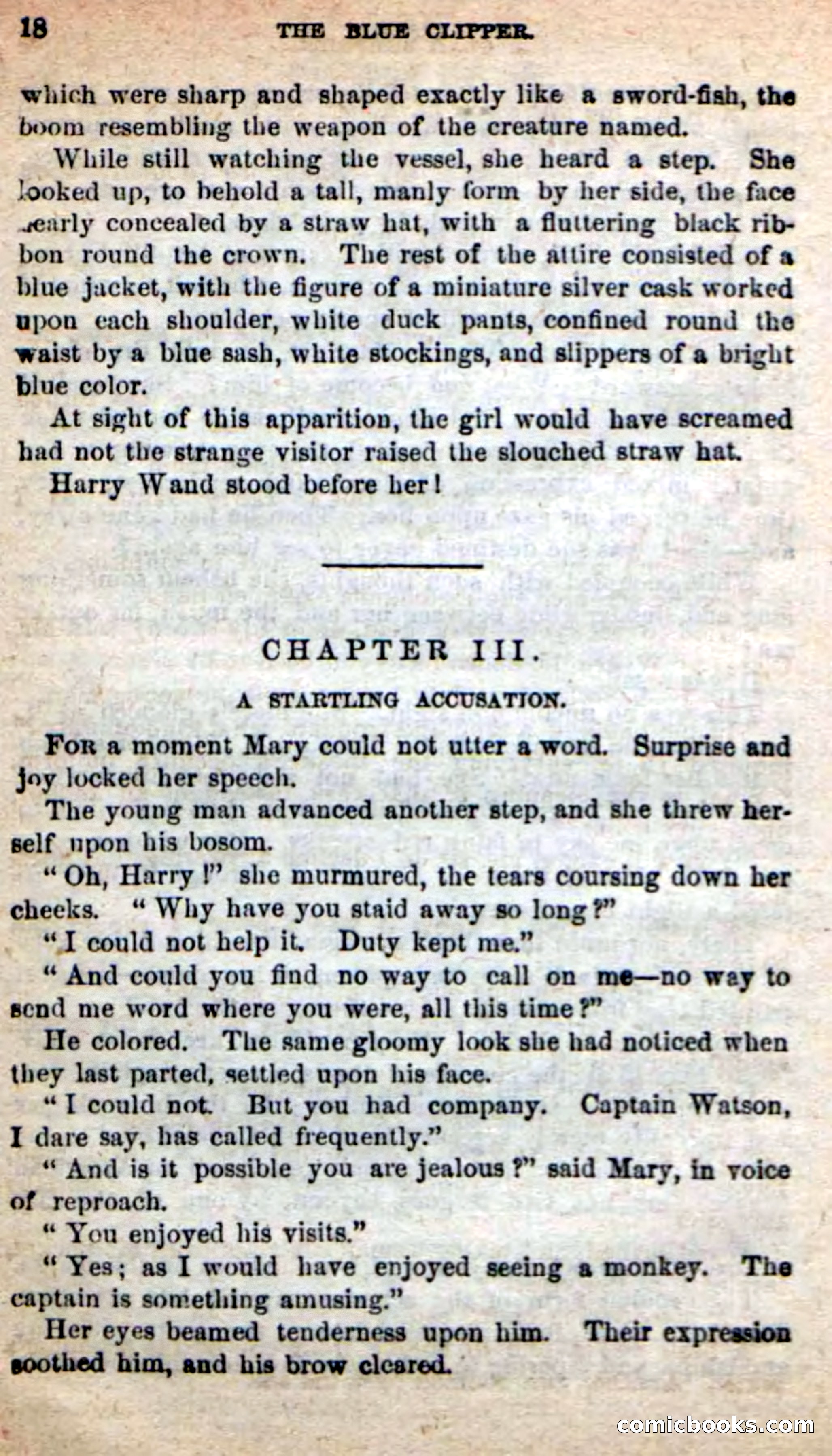 Beadle's New Dime Novels: The Blue Clipper — page 14 of 98