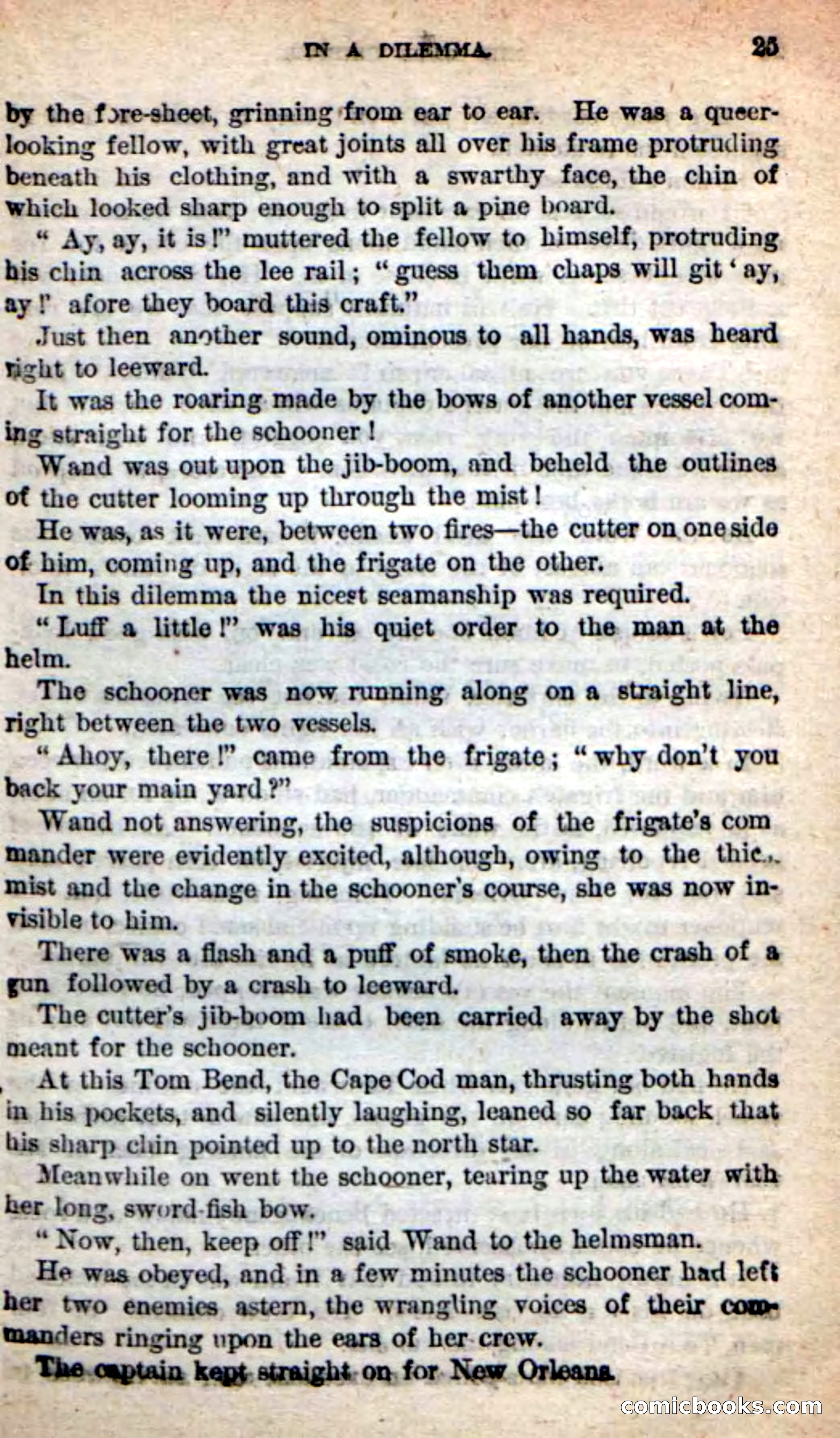 Beadle's New Dime Novels: The Blue Clipper — page 21 of 98