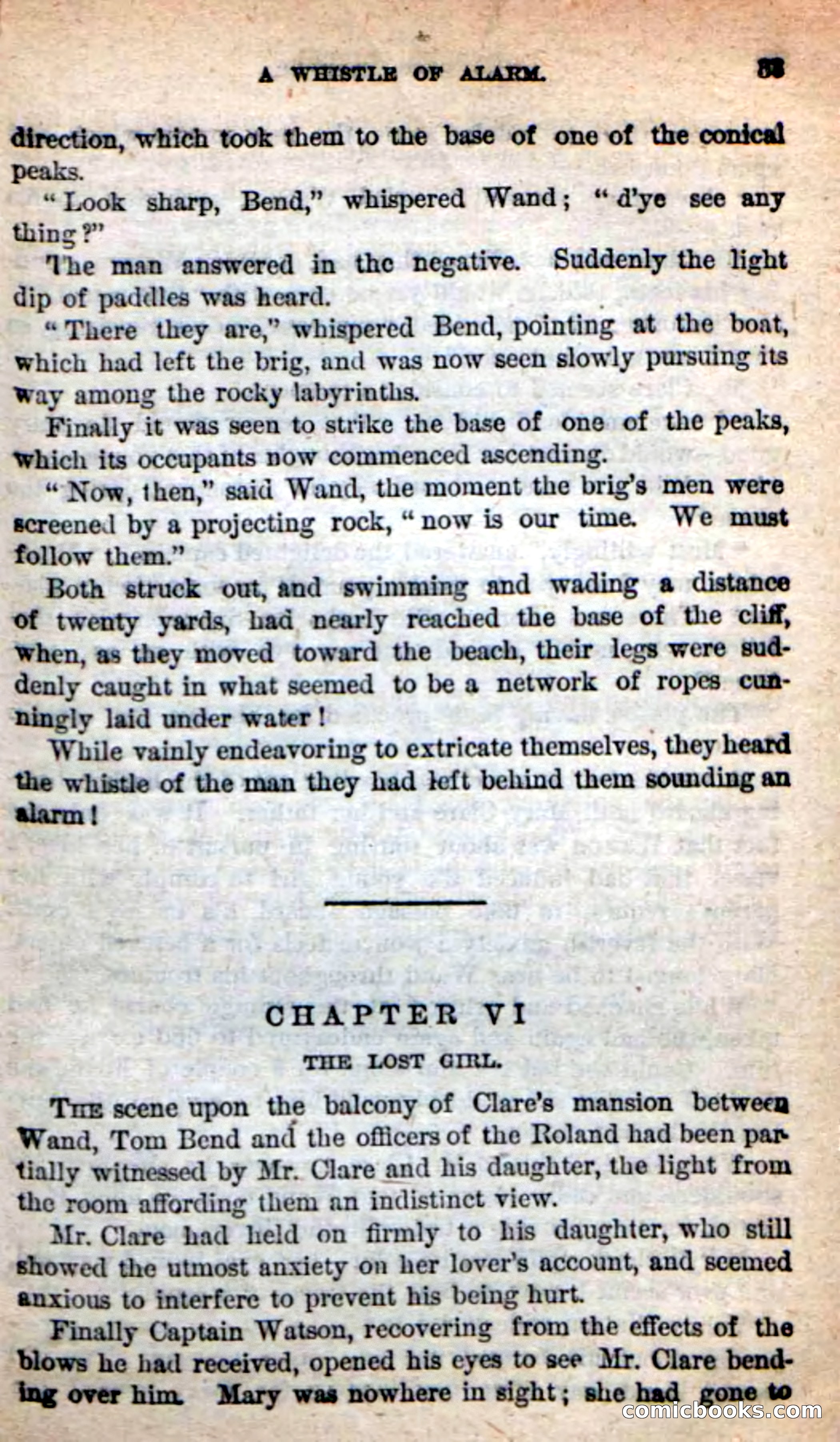 Beadle's New Dime Novels: The Blue Clipper — page 29 of 98