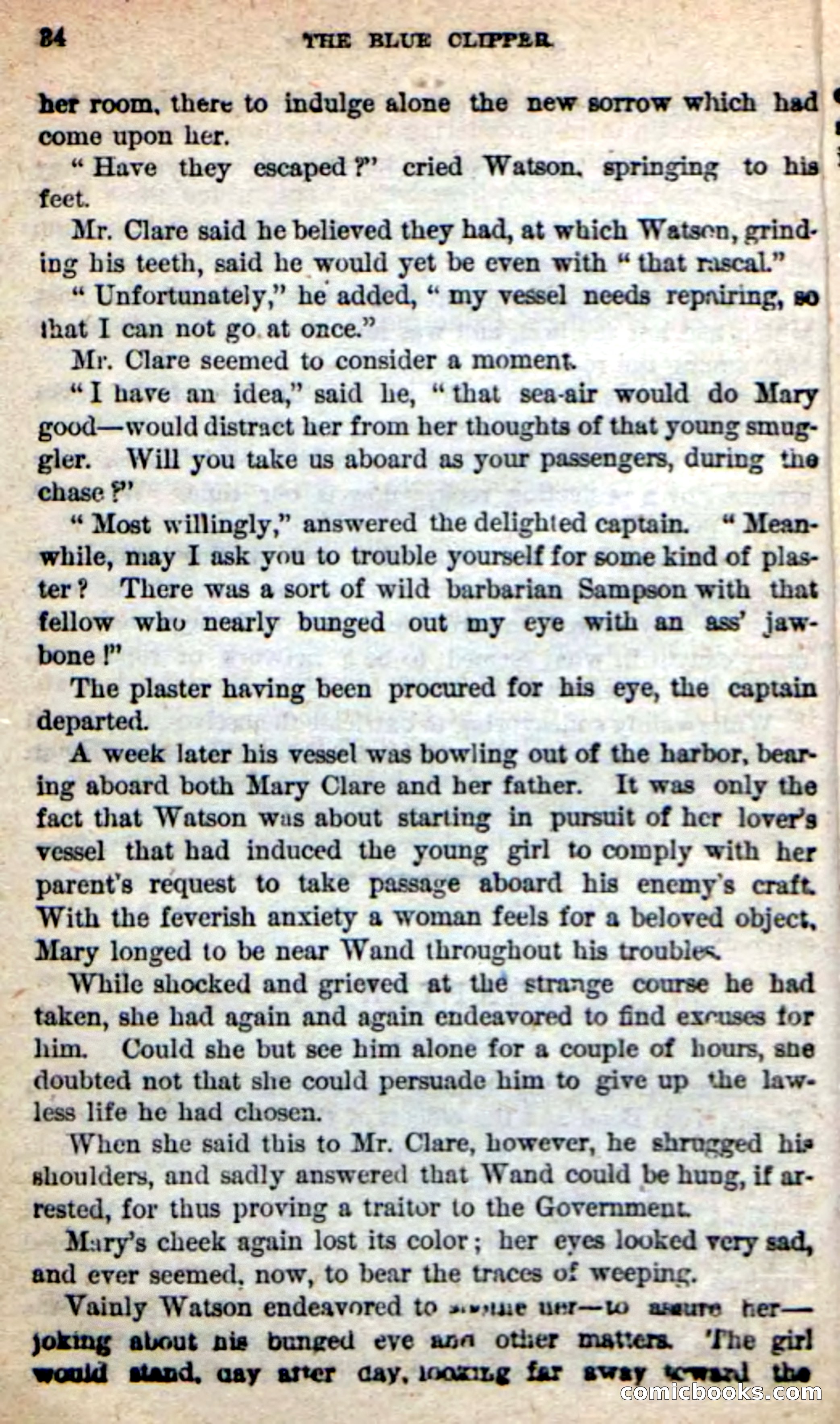 Beadle's New Dime Novels: The Blue Clipper — page 30 of 98