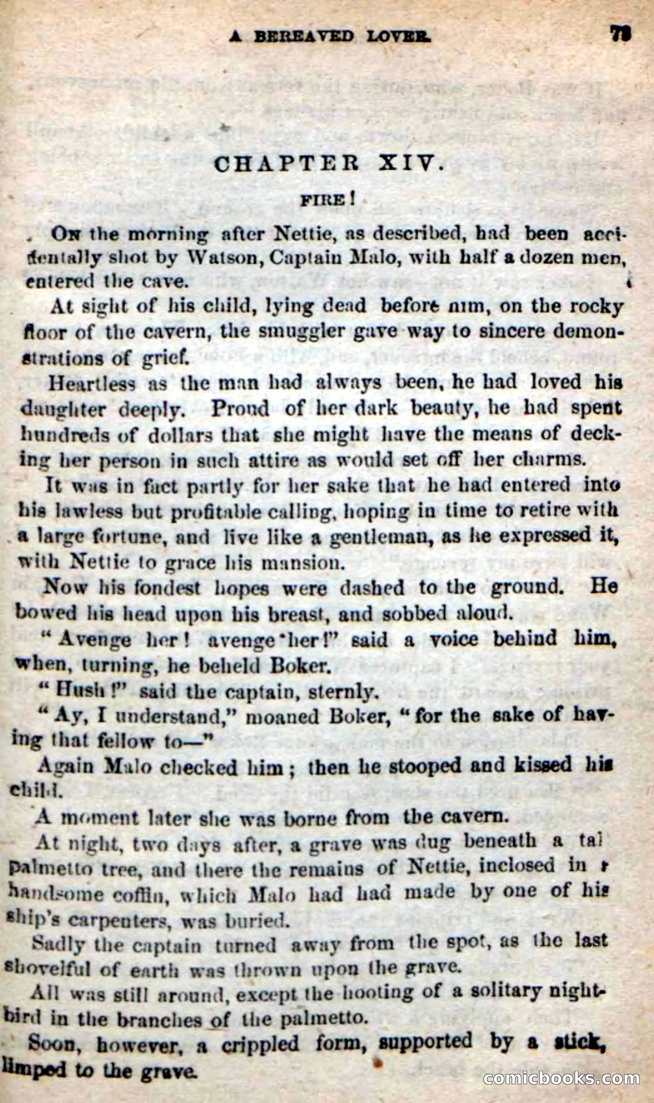 Beadle's New Dime Novels: The Blue Clipper — page 69 of 98