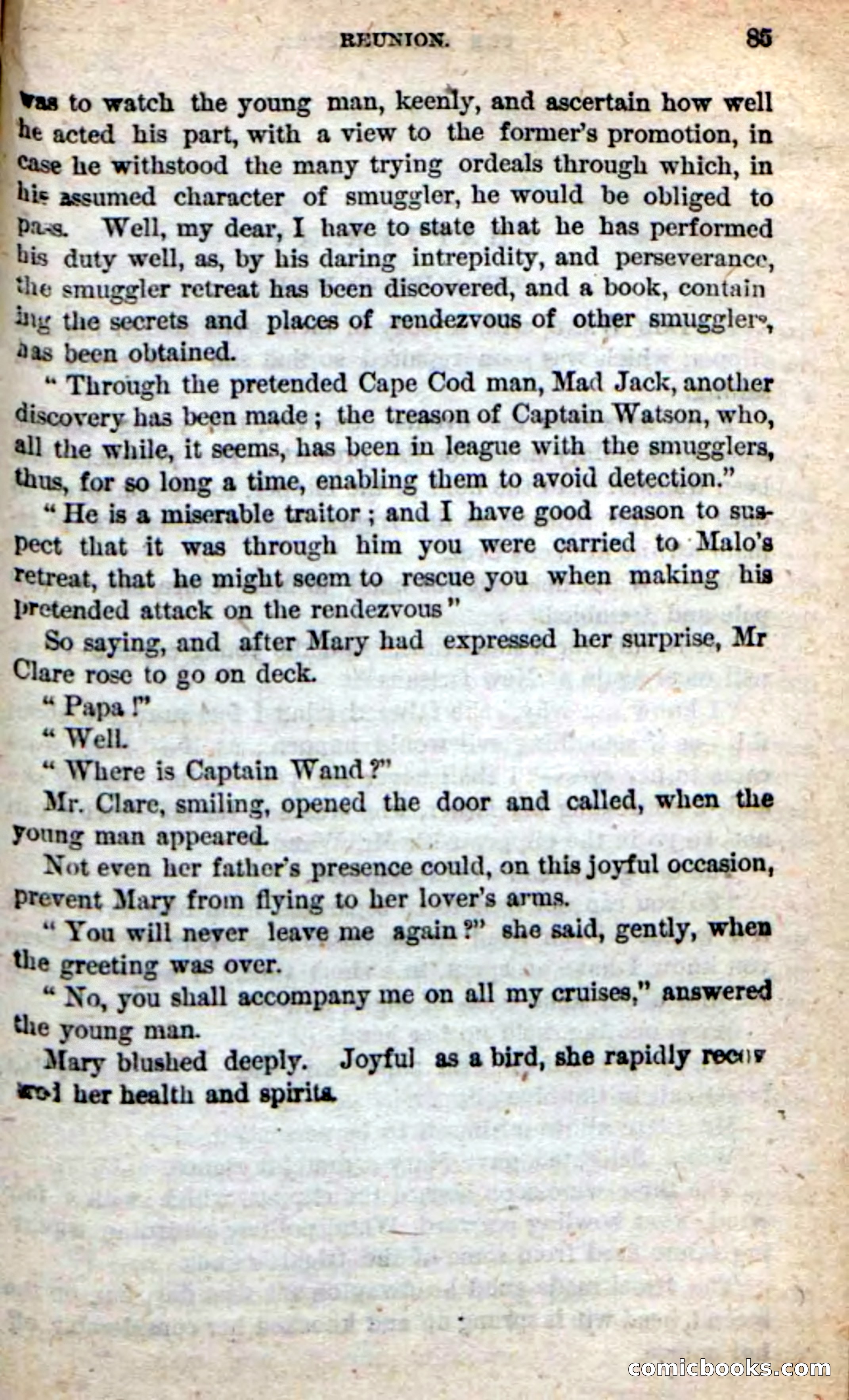 Beadle's New Dime Novels: The Blue Clipper — page 81 of 98