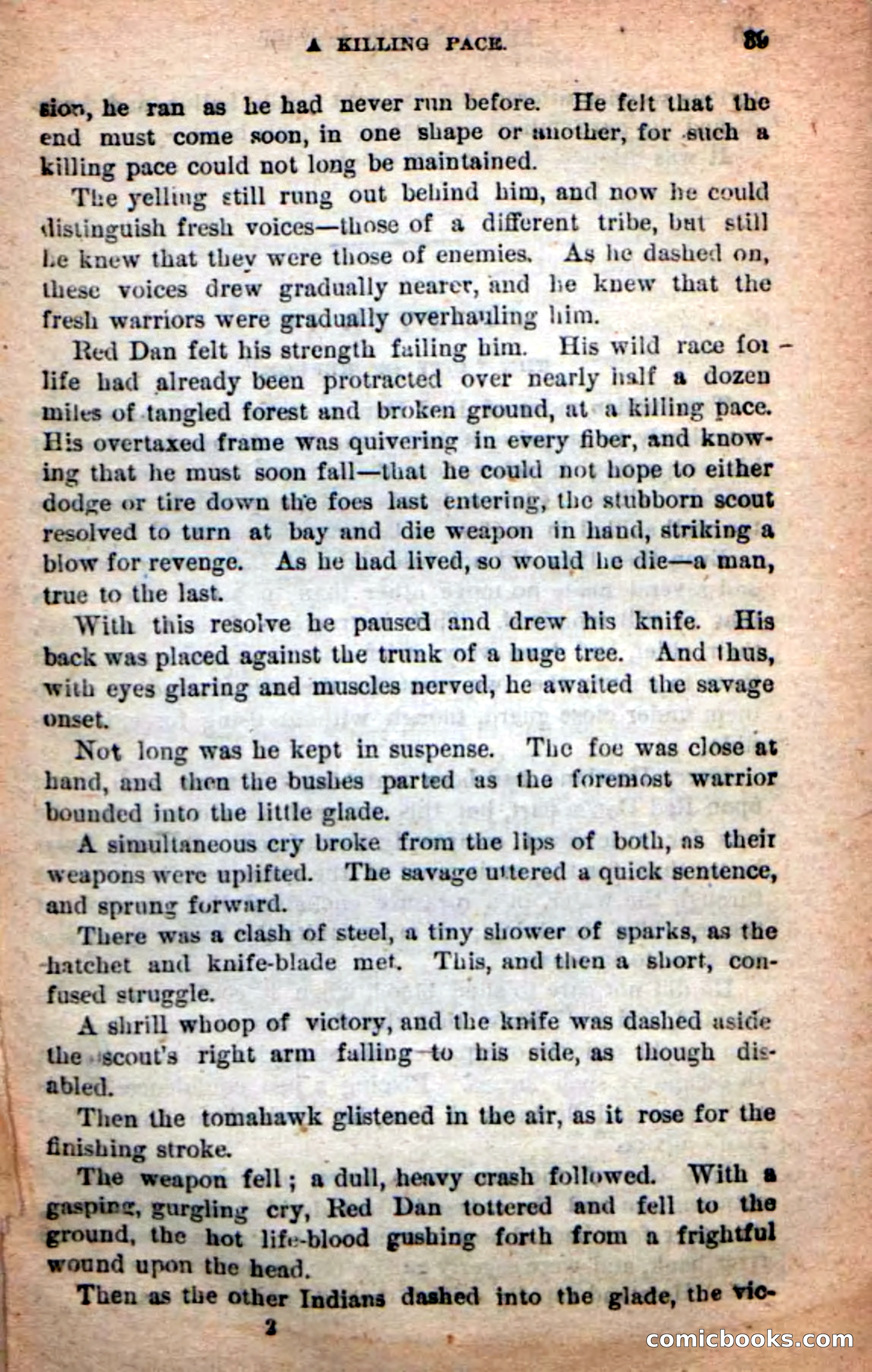 Red Dan, the Ranger — page 35 of 100