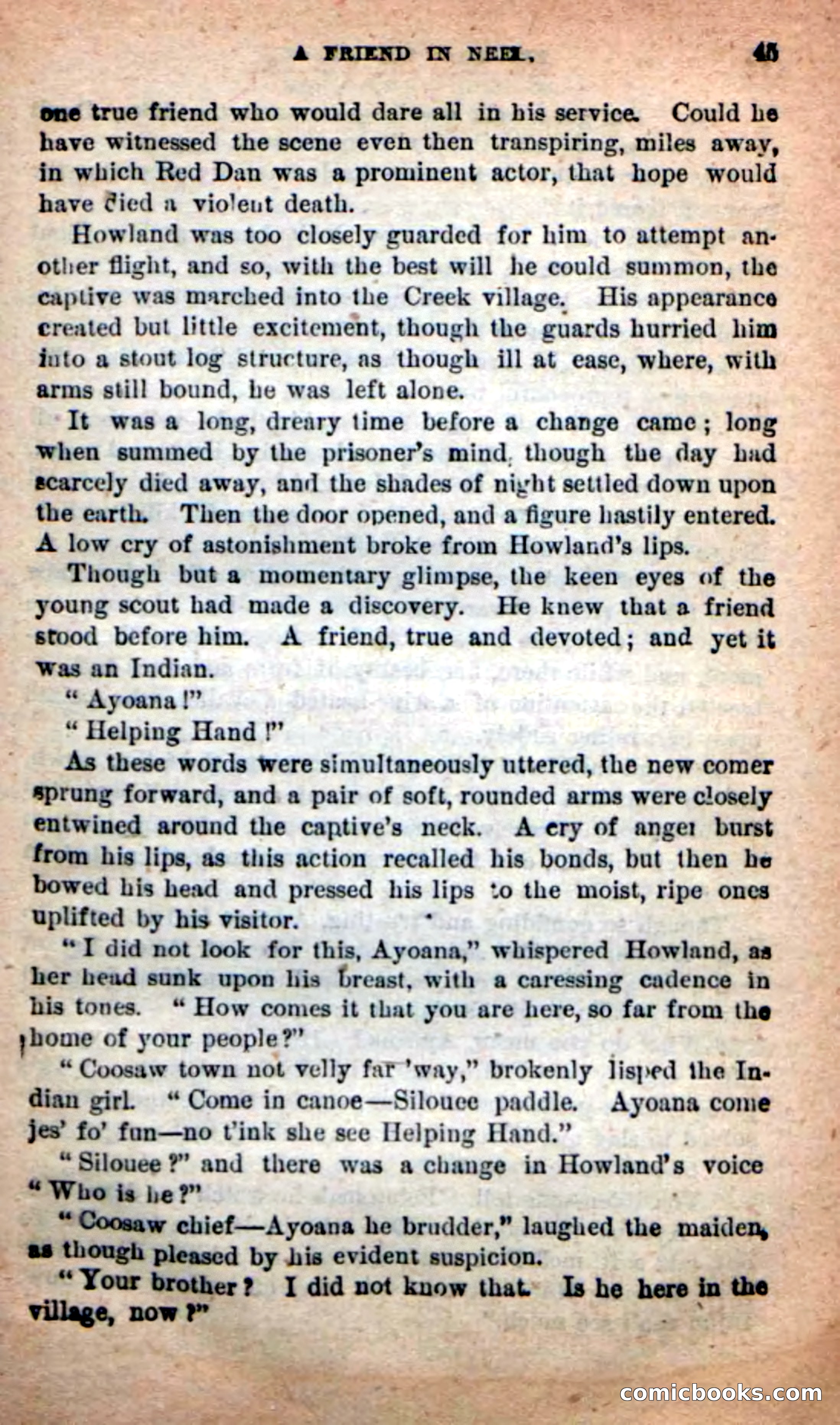 Red Dan, the Ranger — page 41 of 100