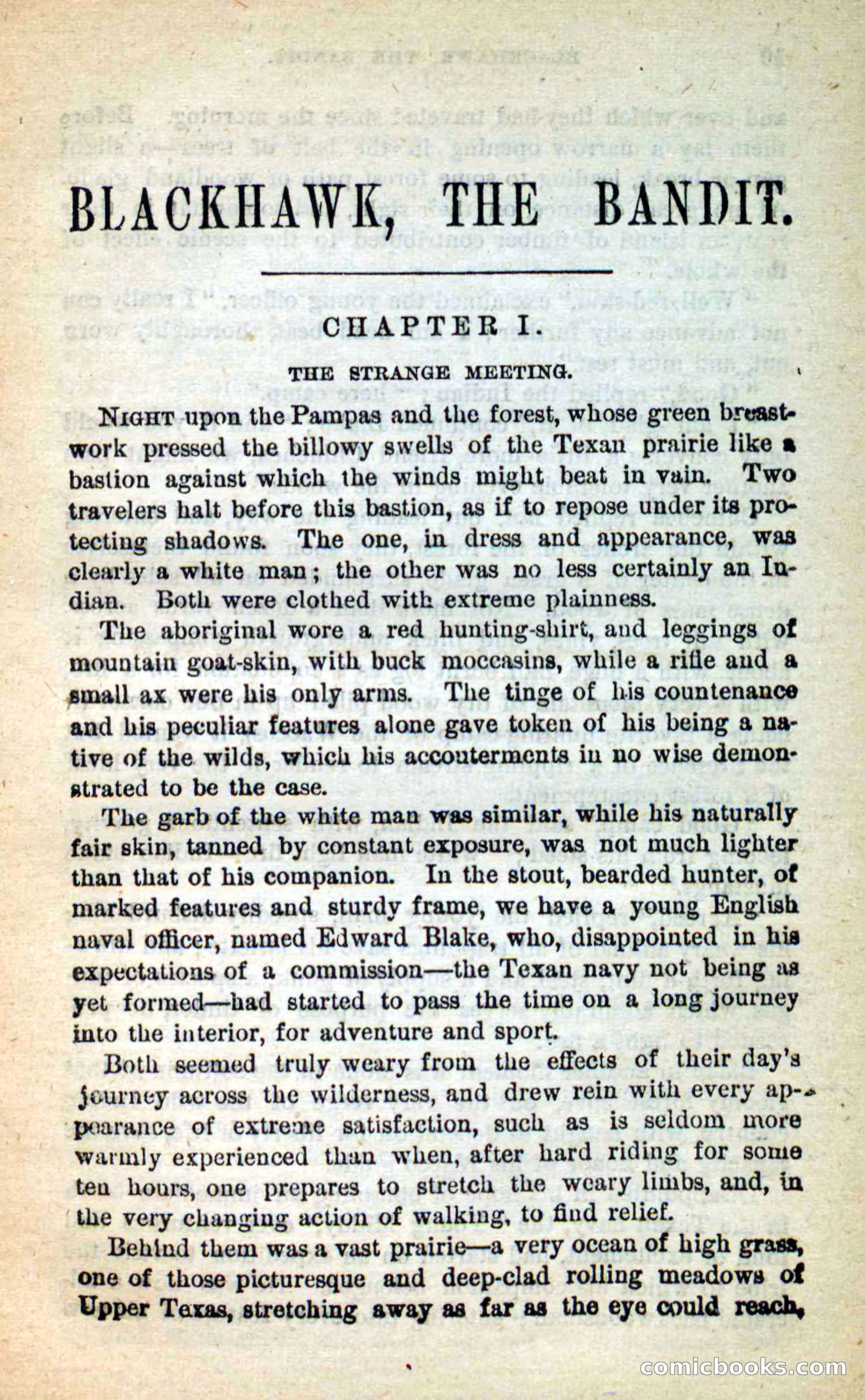 Blackhawk, the Bandit — page 5 of 100