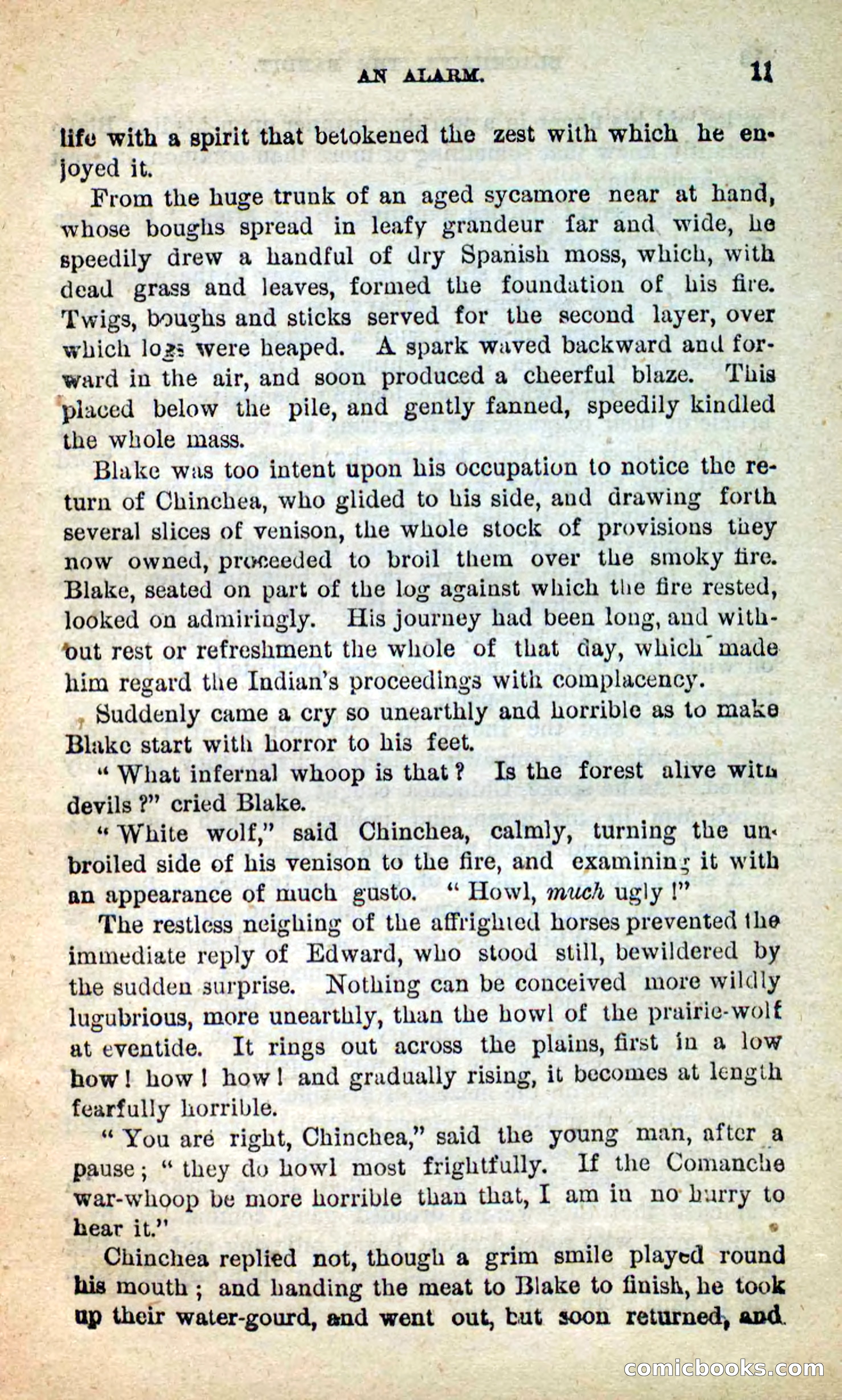 Blackhawk, the Bandit — page 7 of 100