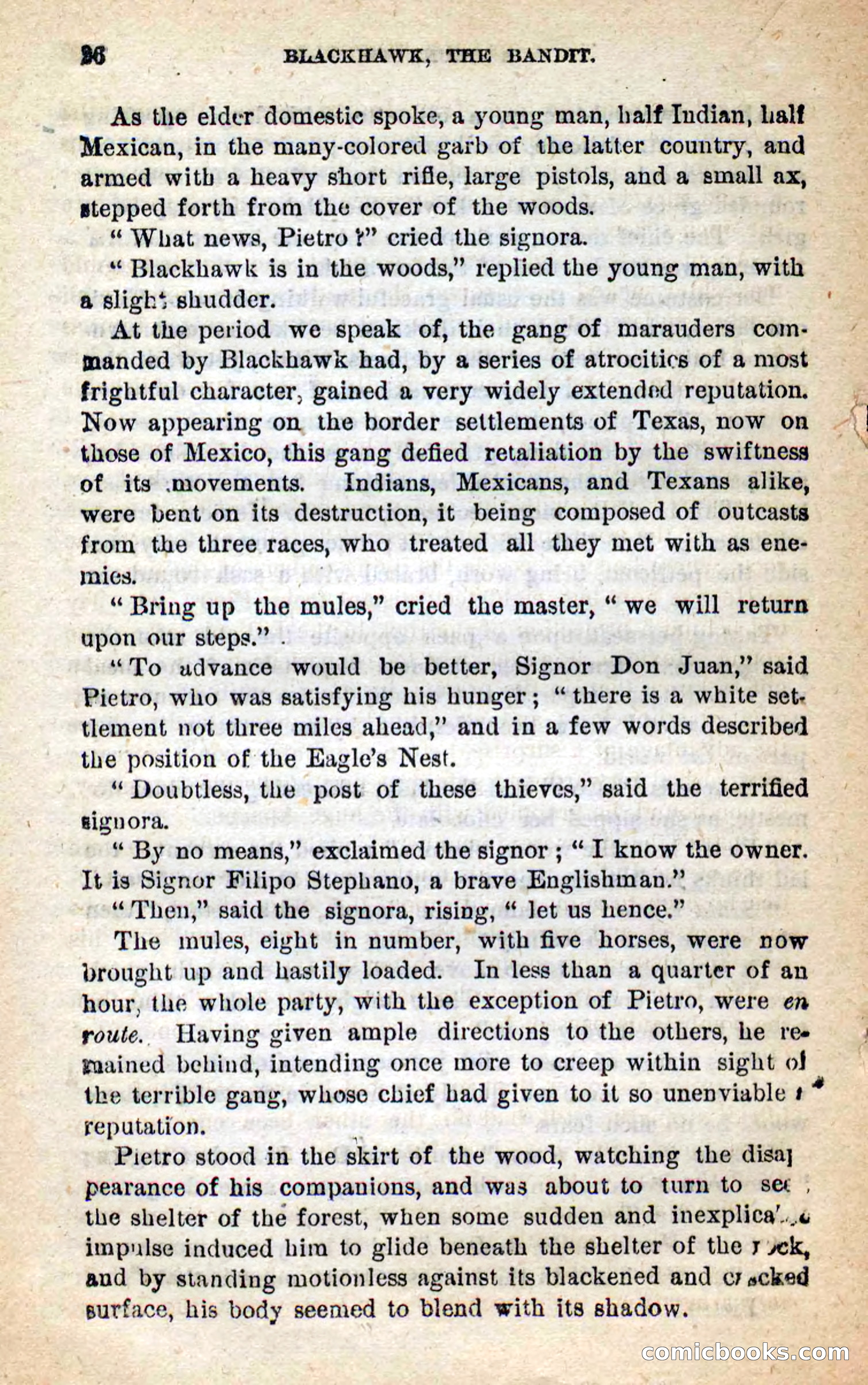 Blackhawk, the Bandit — page 22 of 100