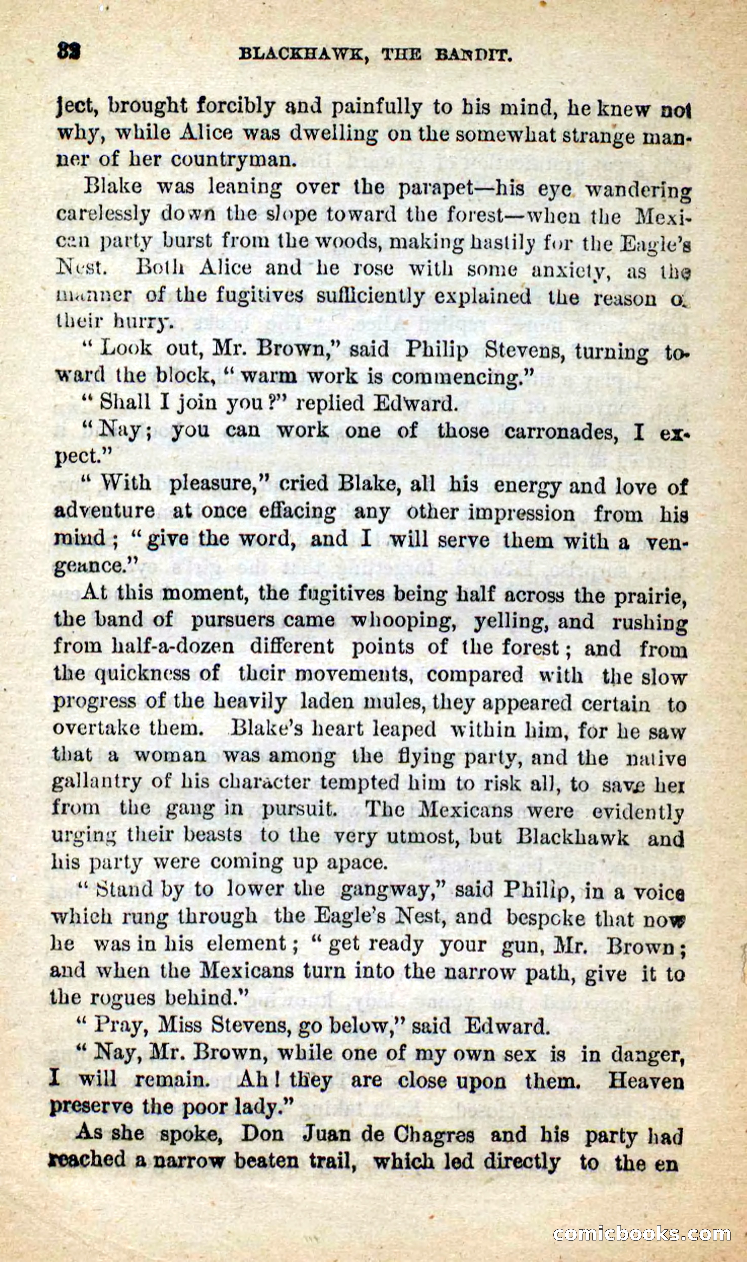 Blackhawk, the Bandit — page 28 of 100