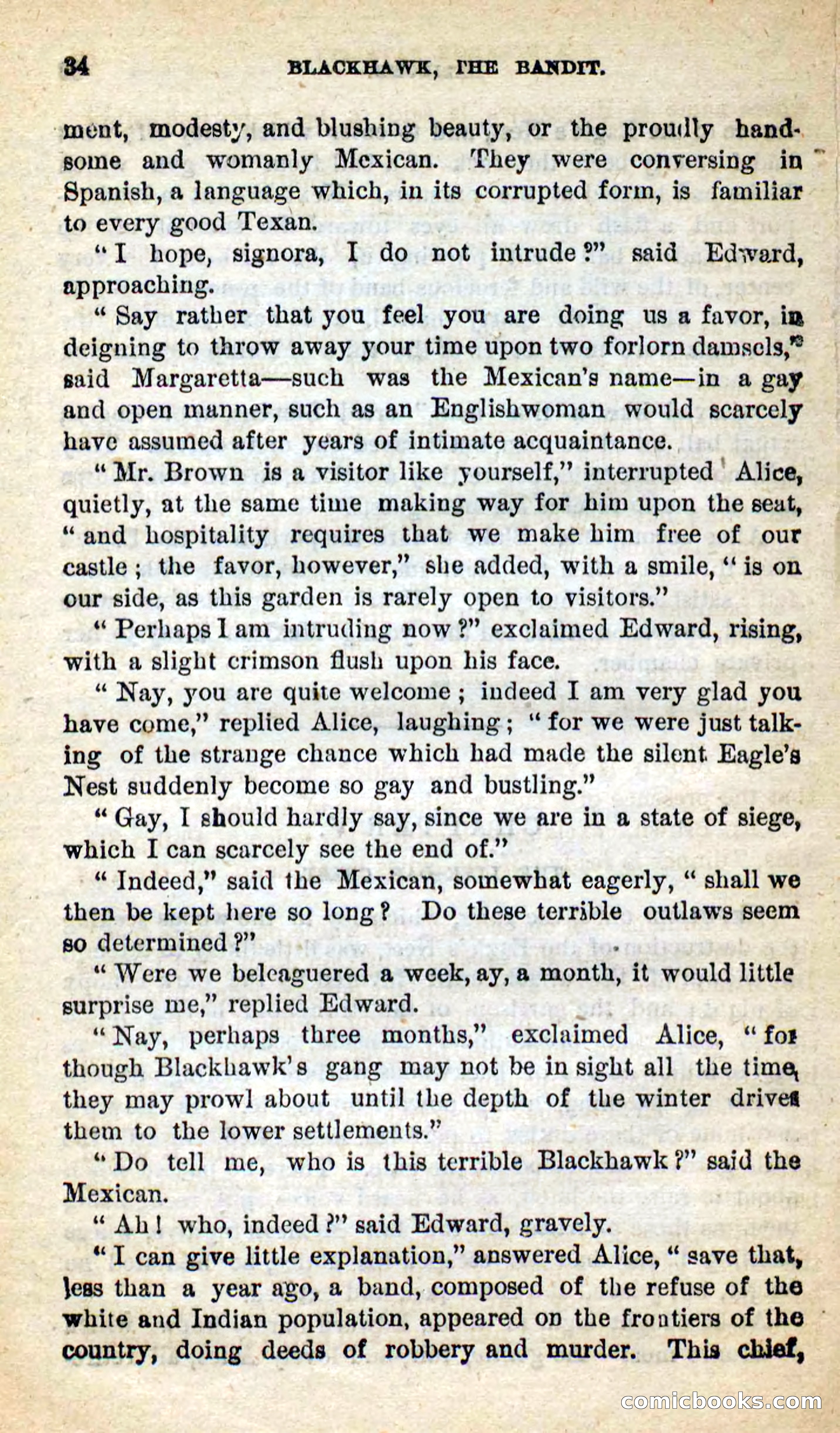 Blackhawk, the Bandit — page 30 of 100