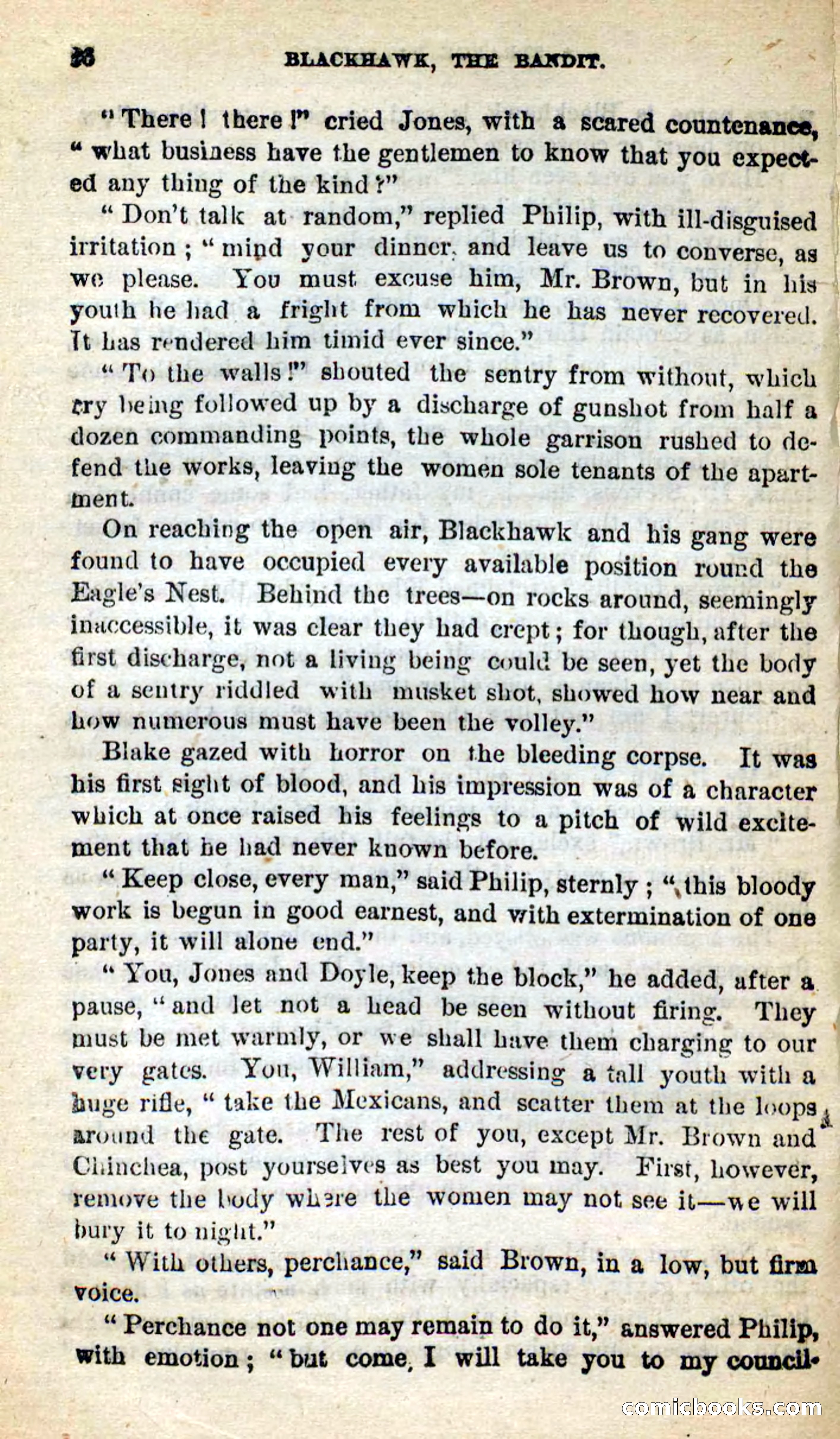 Blackhawk, the Bandit — page 32 of 100