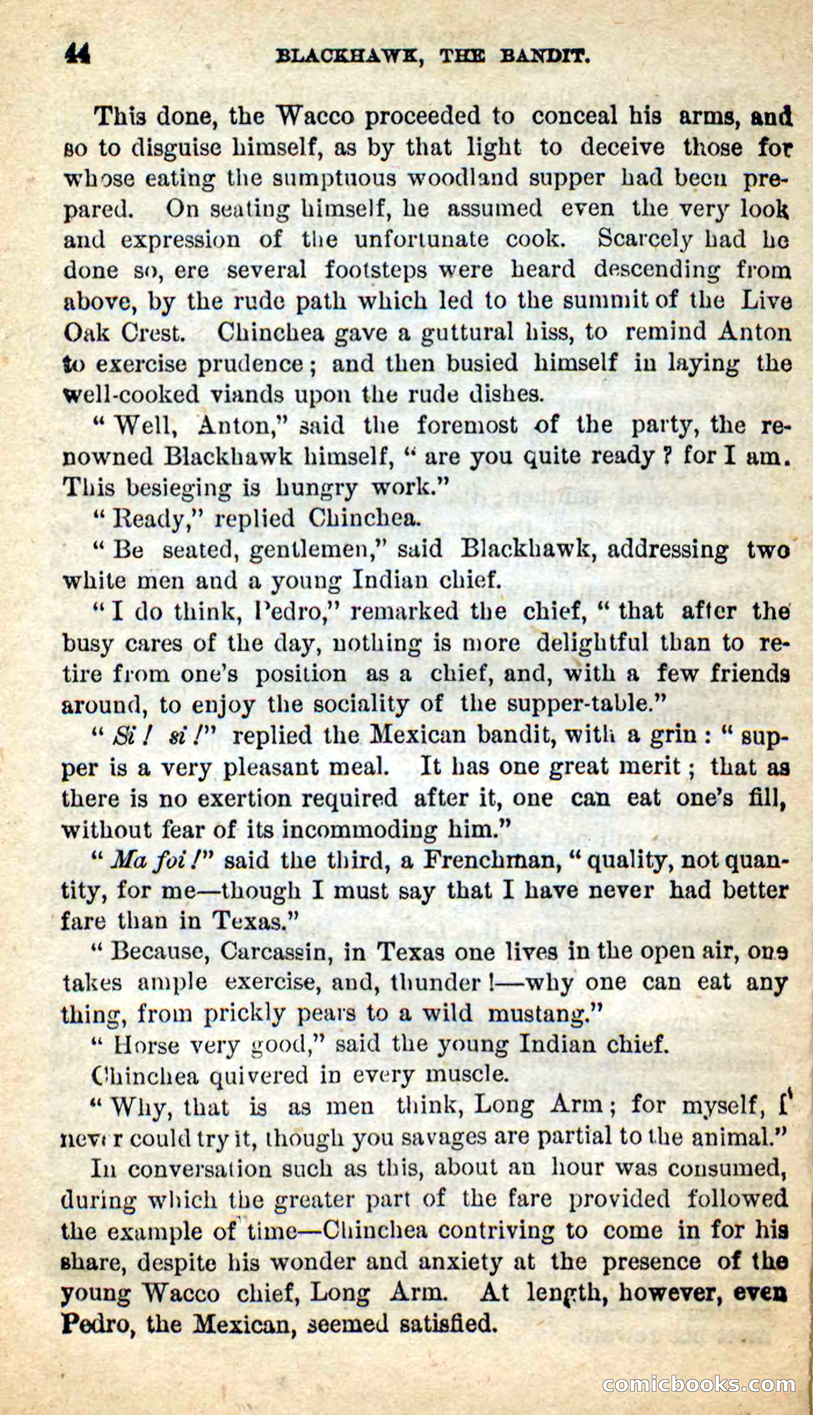Blackhawk, the Bandit — page 40 of 100